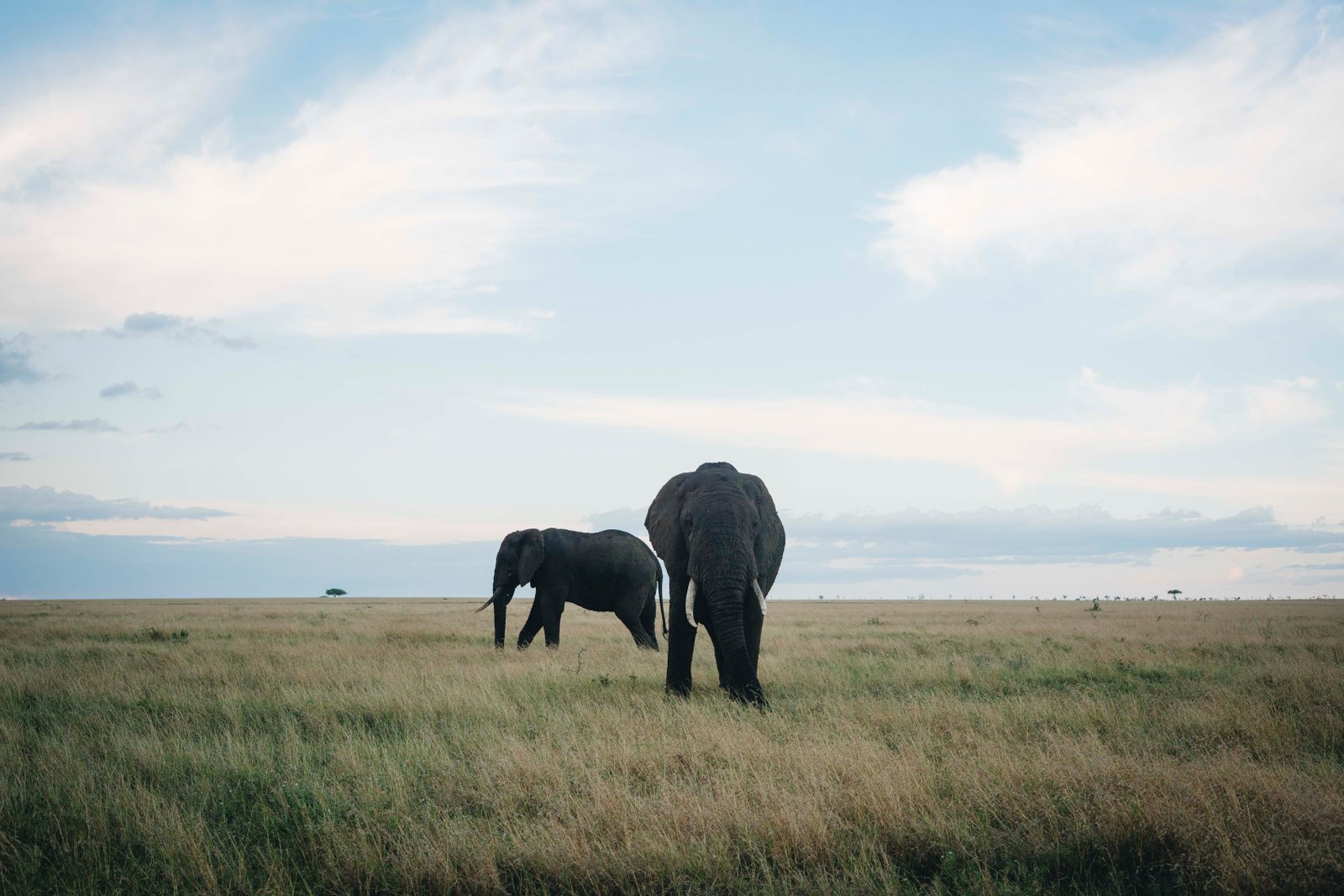 12 Days Tanzania Adventure