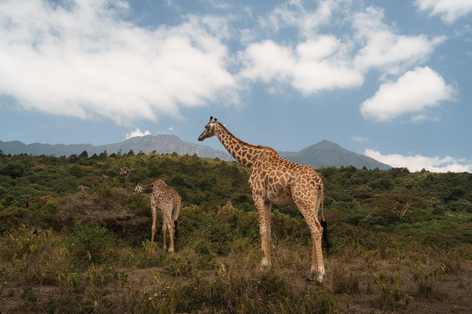 Arusha National Park