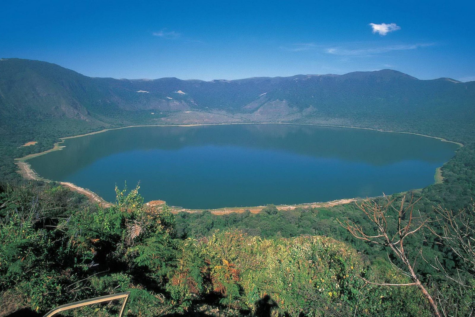 5 Days Wildlife Safari