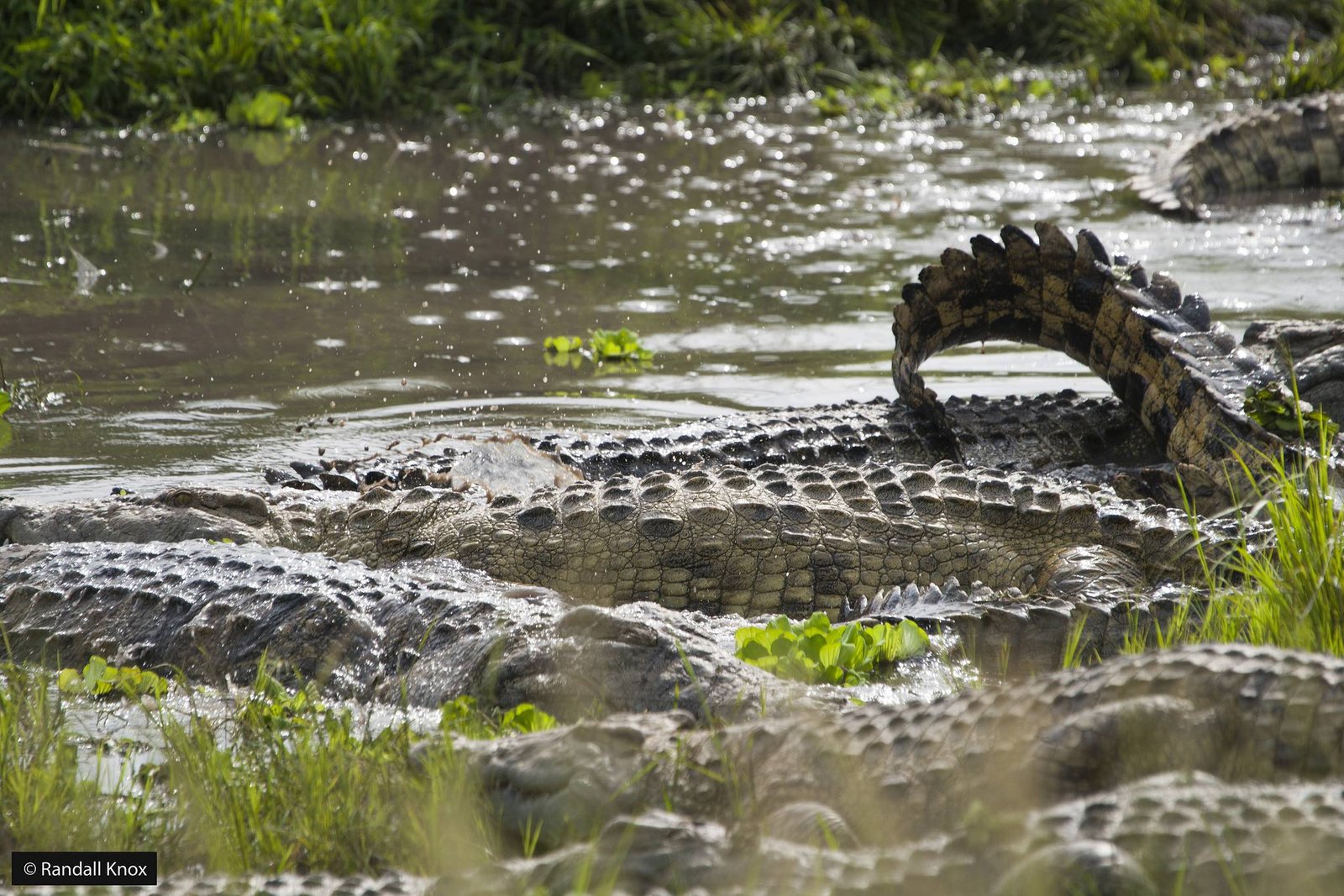 5 Days Western Tanzania Adventure