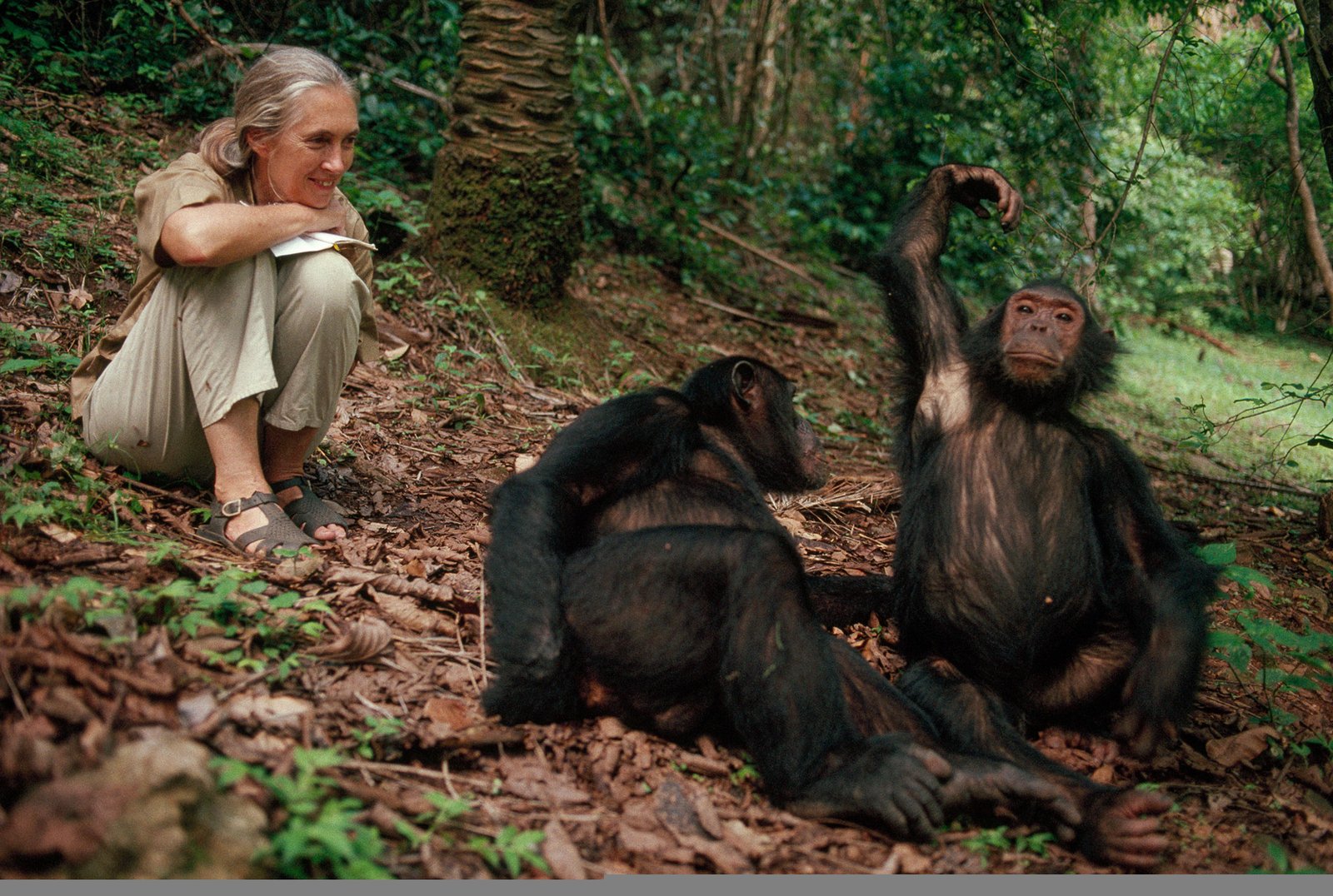 6 Days Western Tanzania Adventure