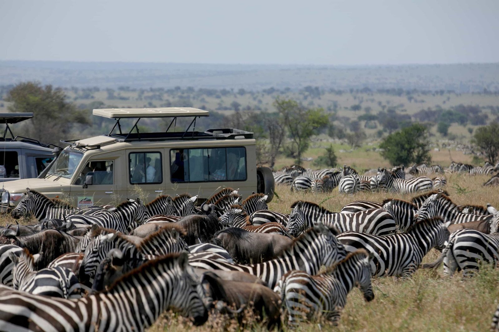 7 Days Wildlife Safari