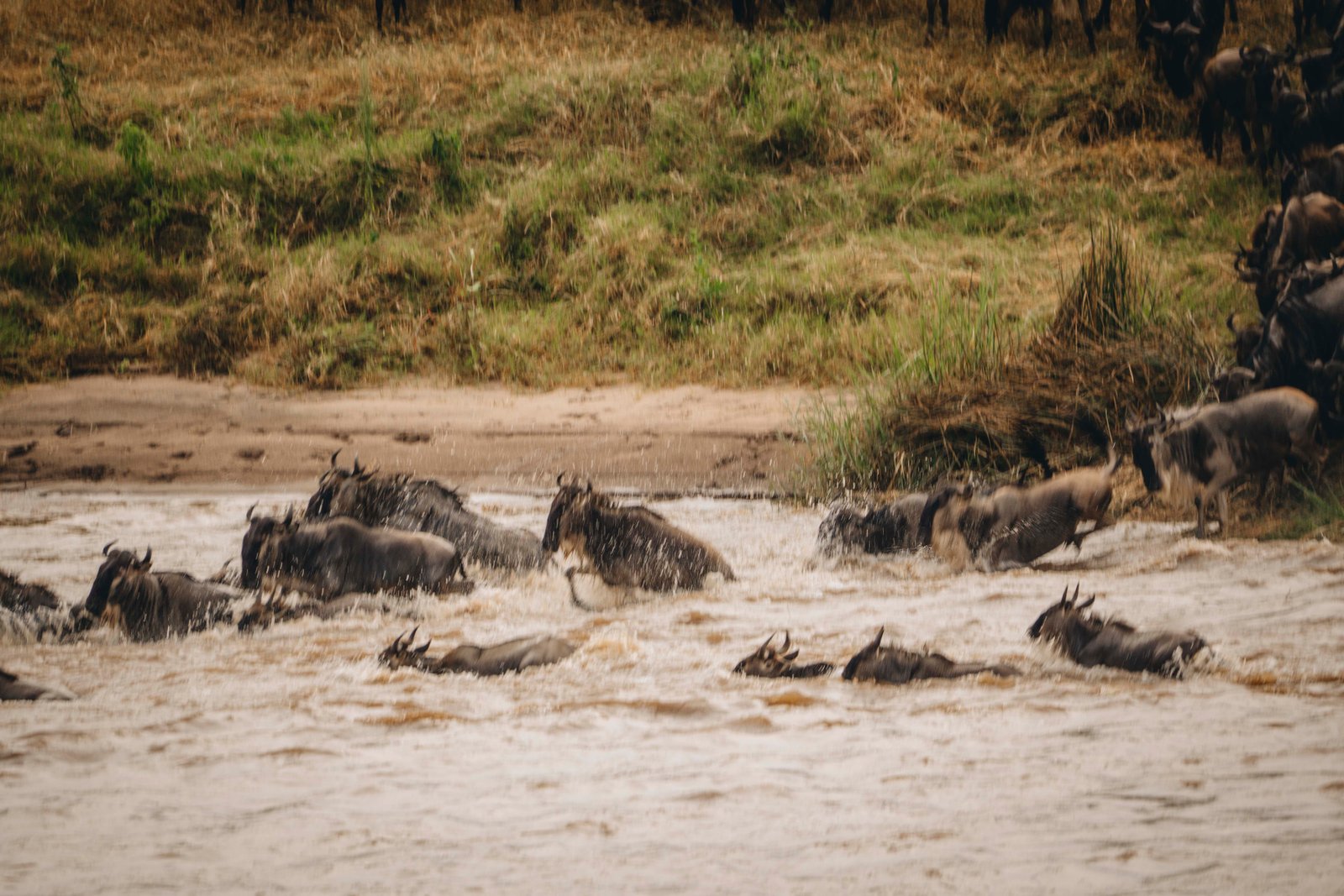 A 14 Day  Ultimate Great Migration - Zanzibar Retreat