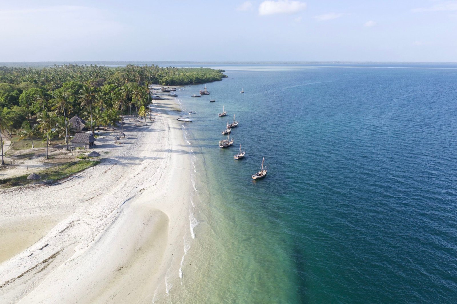 10 Days Zanzibar Highlight