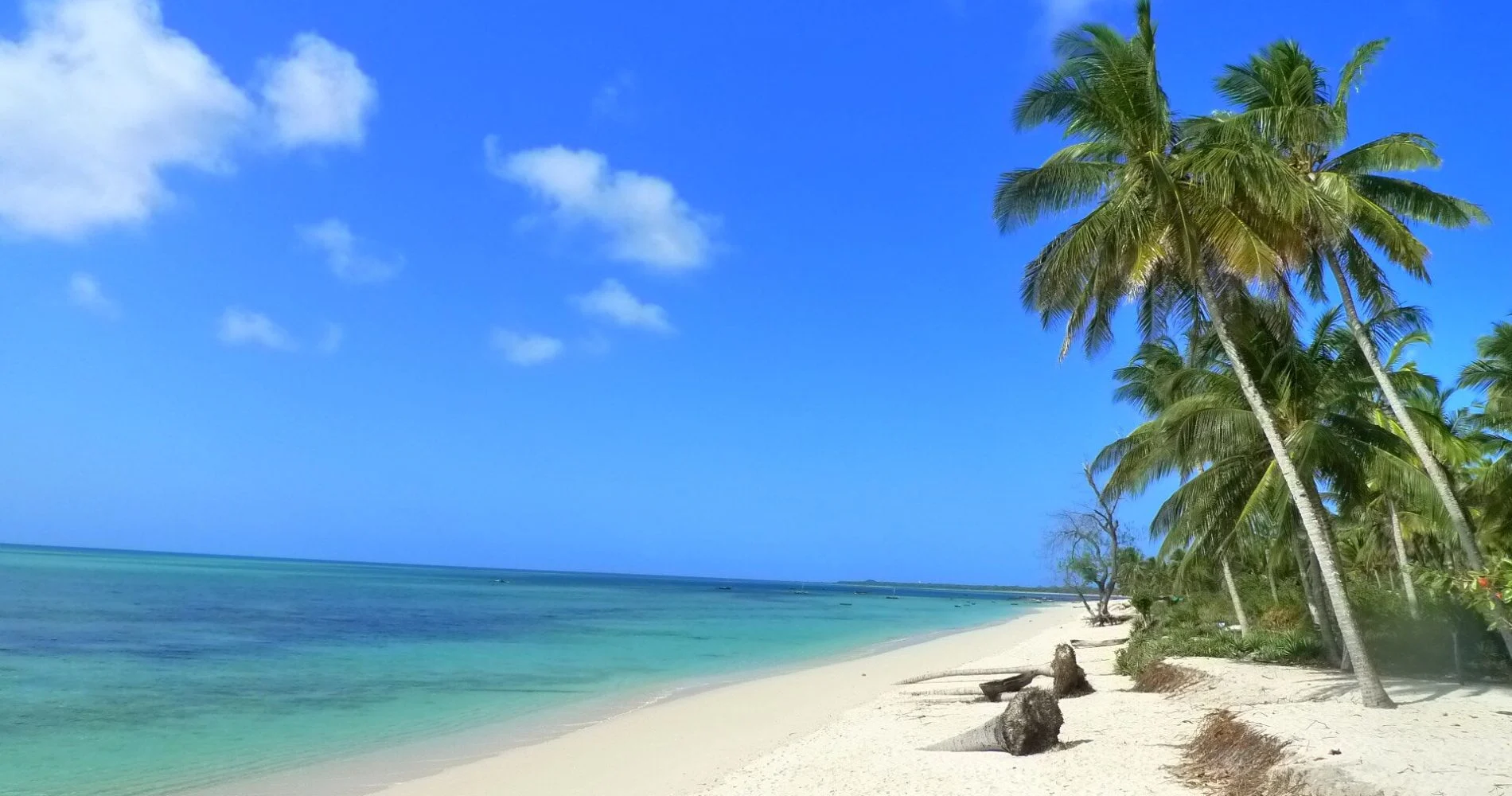 9 Days Zanzibar Highlight