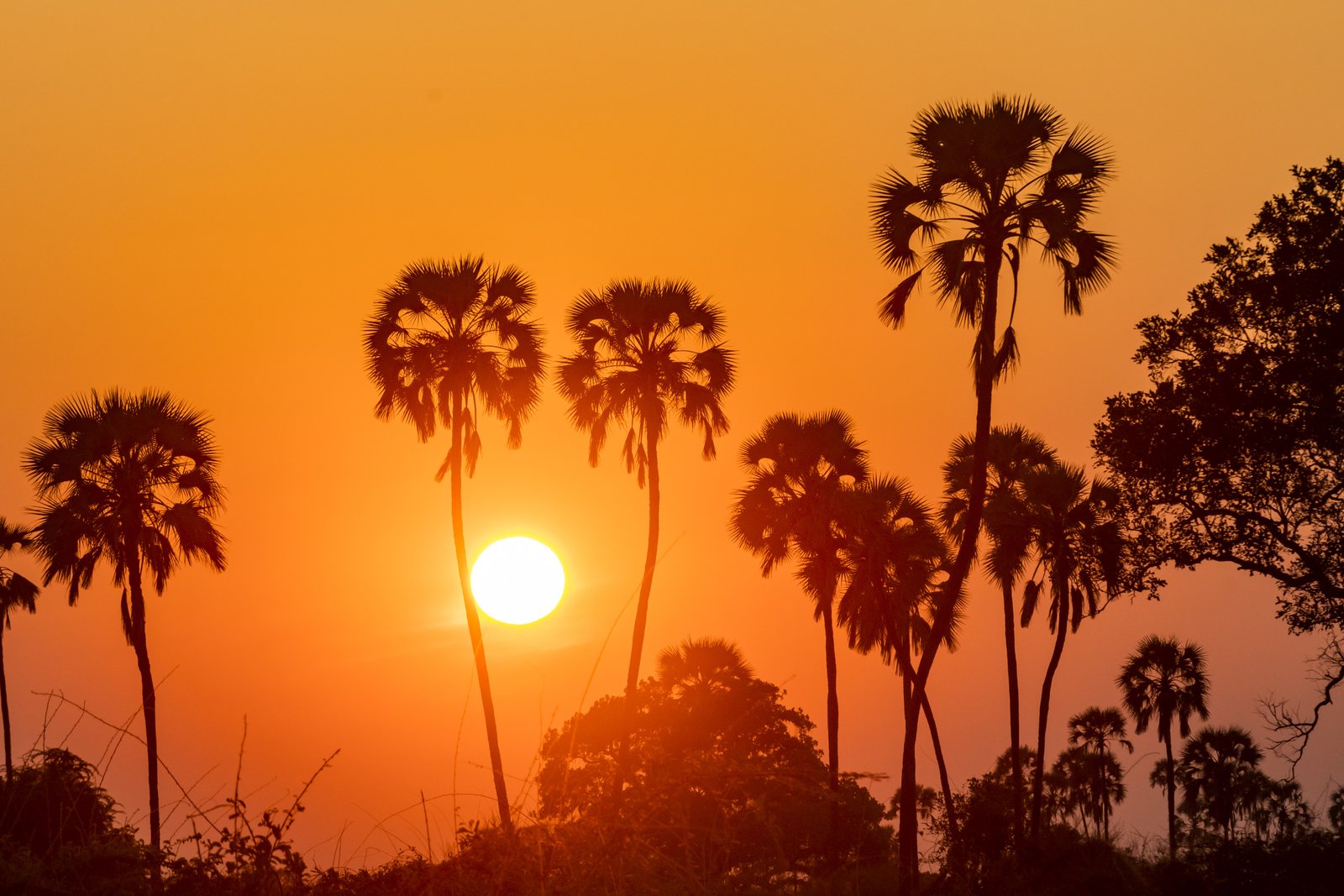 9 Day  Ultimate Southern Tanzania Wilderness Expedition