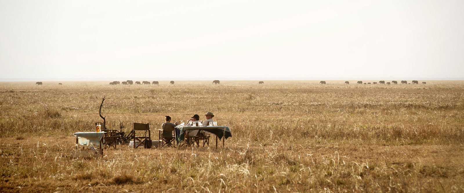 11 Days Western Tanzania Adventure