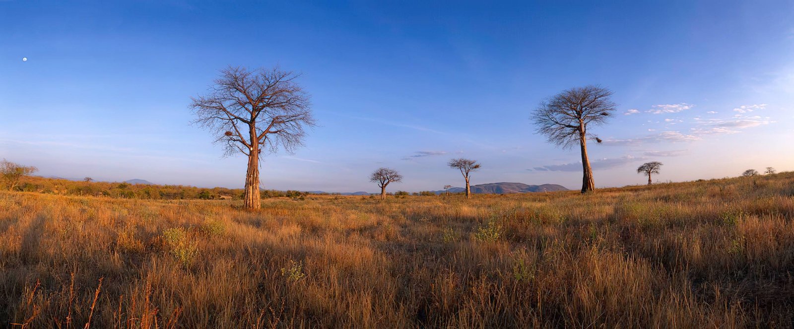 Ruaha National Park
