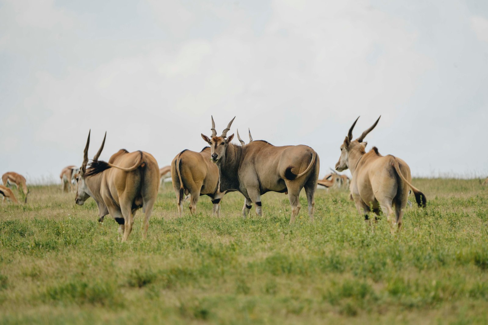 8 Days Tanzania Adventure