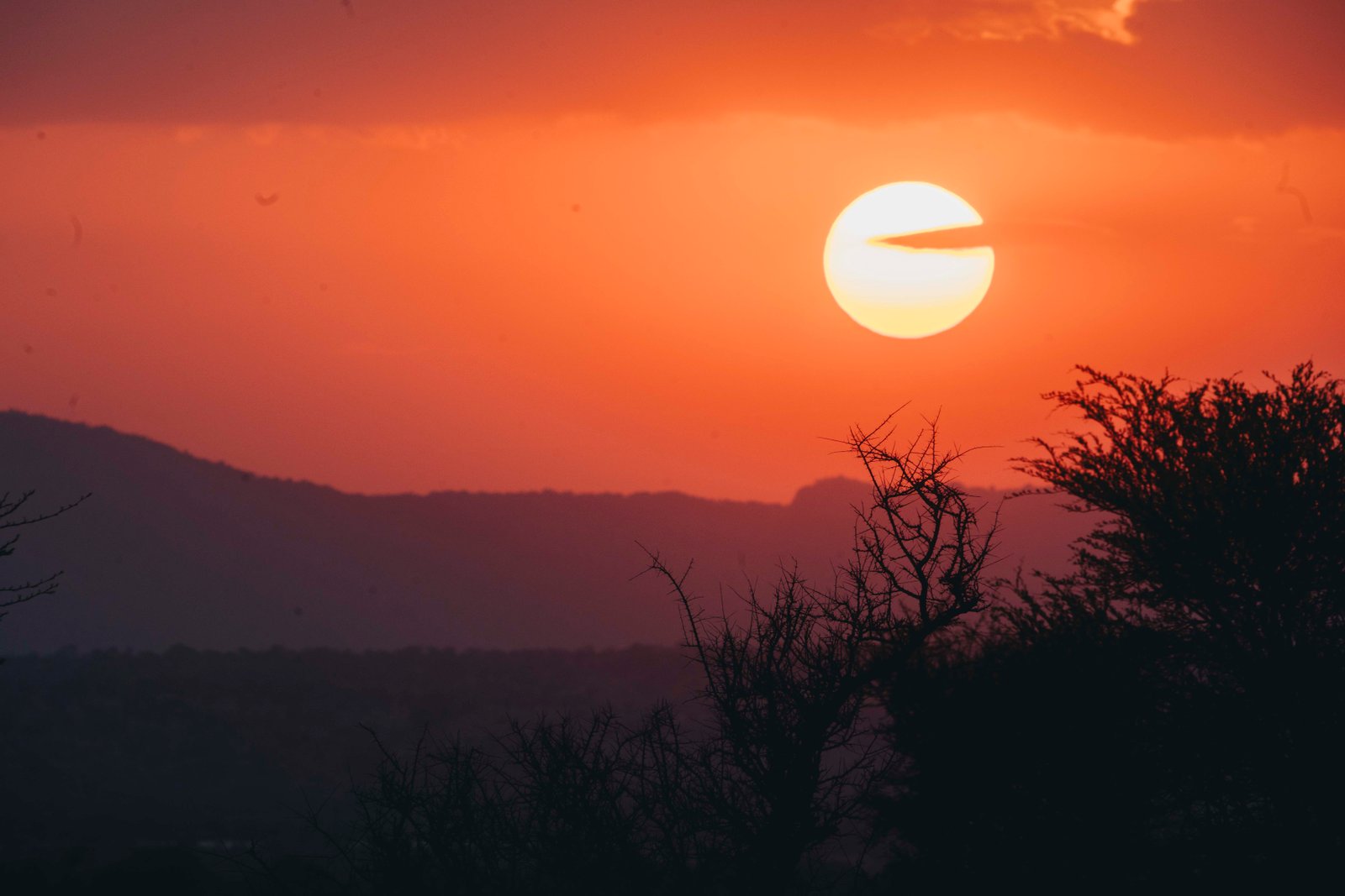 3 Day Northern Tanzania Express Safari