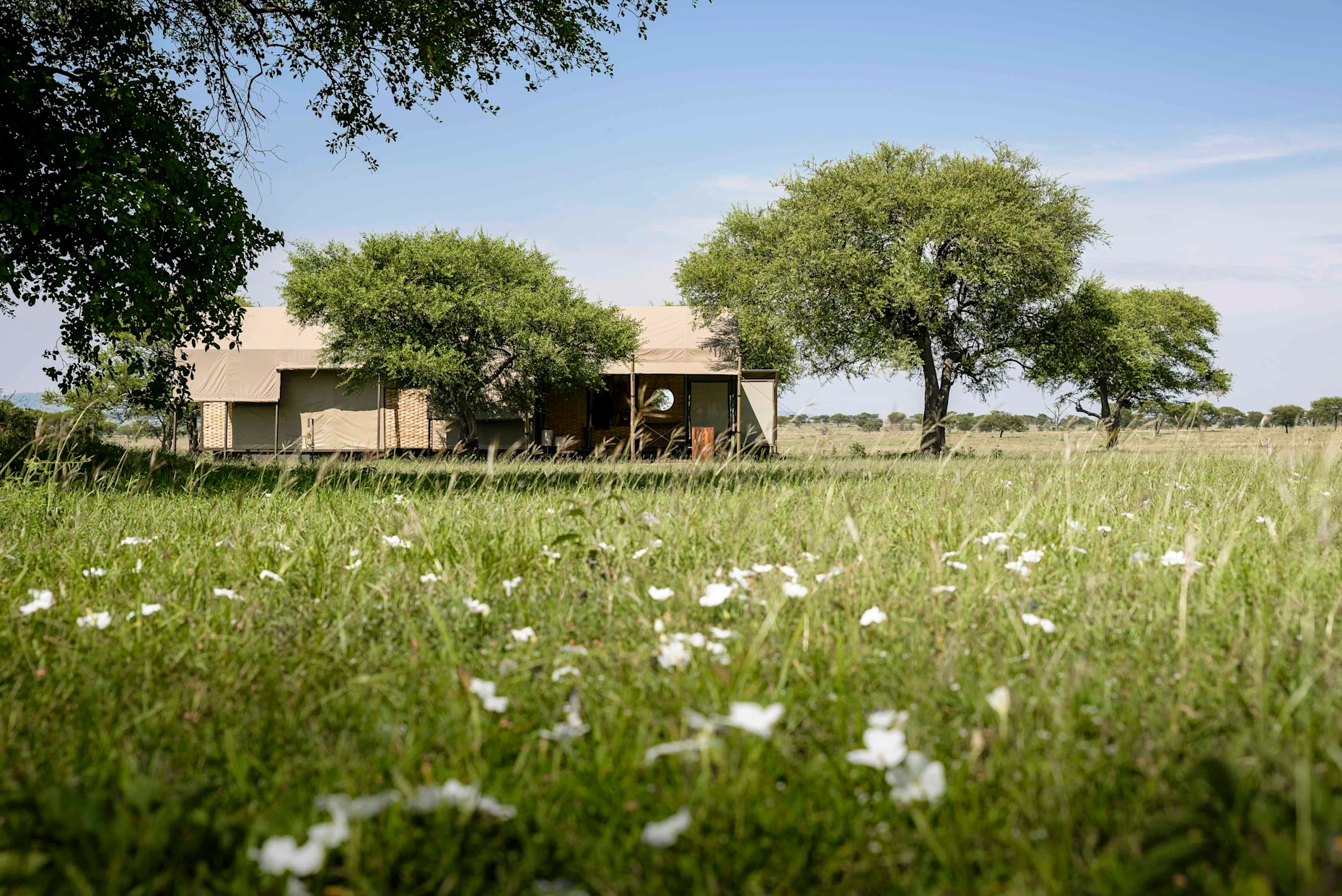 Tanzania safari romance – 6‑day Serengeti escape