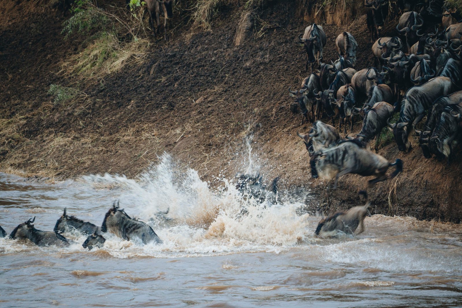 Northern Serengeti Migration Safari &ndash; 6‑Day Luxury Tanzania