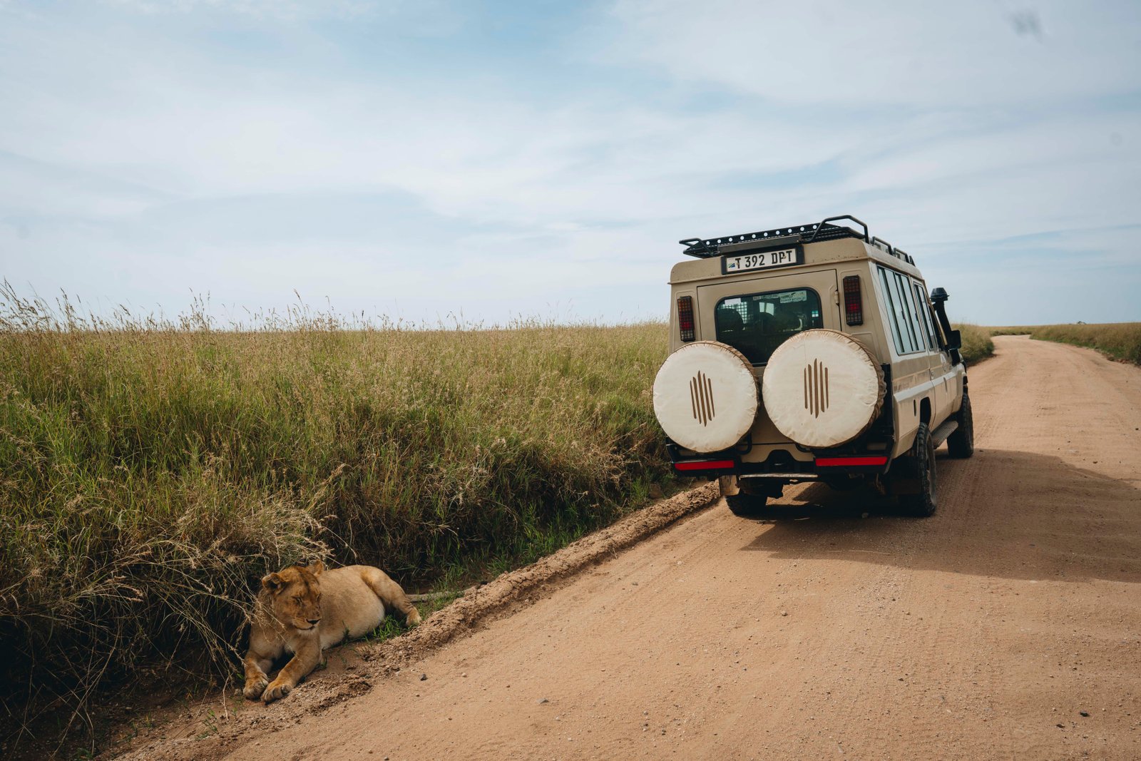 Tanzania Safari: 9‑Day Tarangire, Ndutu & Ngorongoro