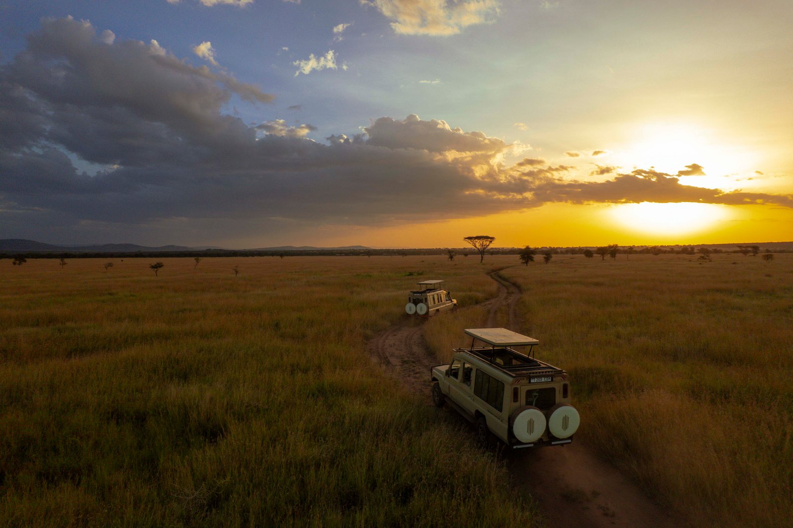 10 Day Tanzania Safari – Nyerere, Mikumi & Ruaha