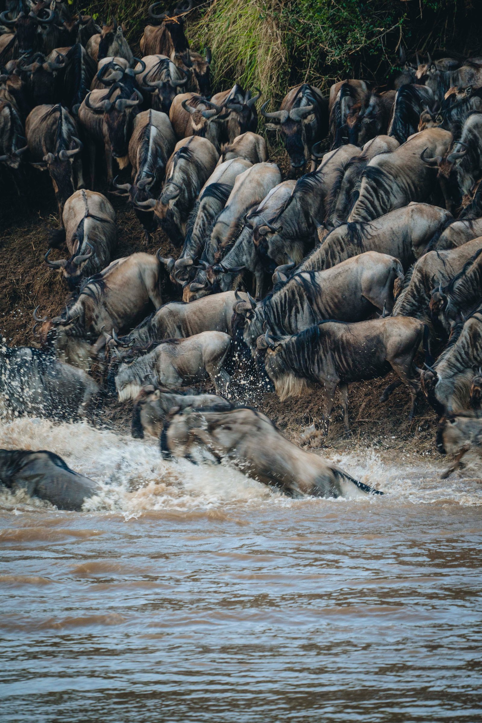 7 Days River Crossing Safari