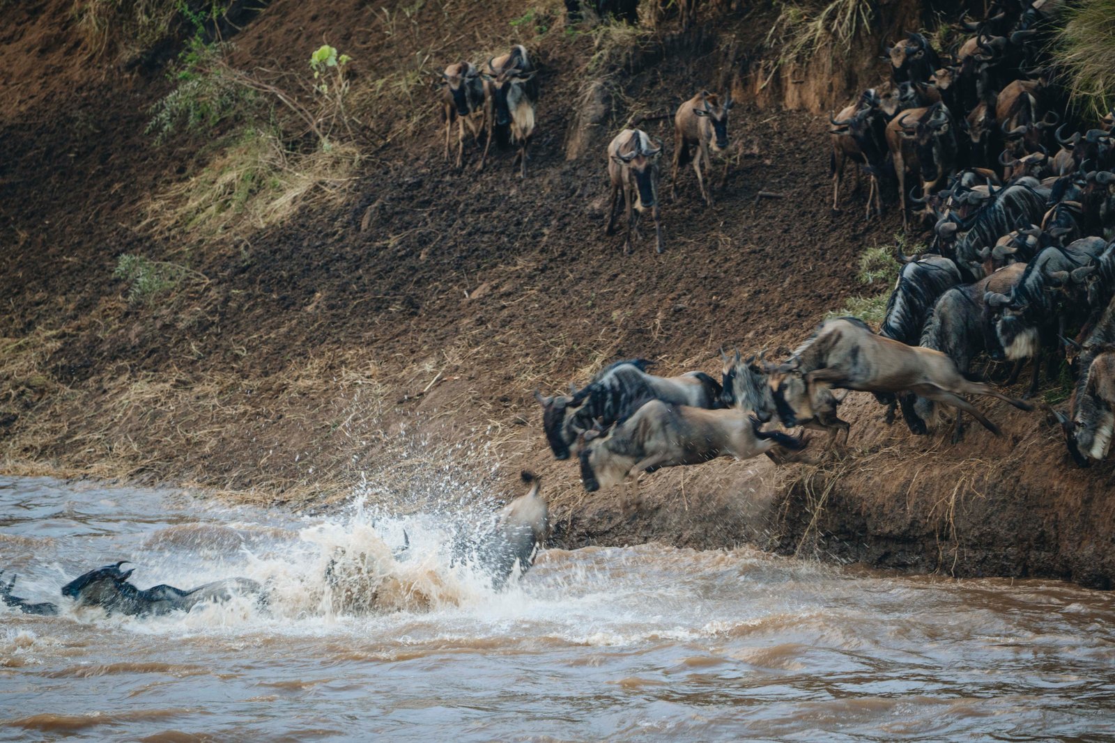 Luxury Safari &ndash; 7-Day Serengeti, Ngorongoro & Lake Manyara
