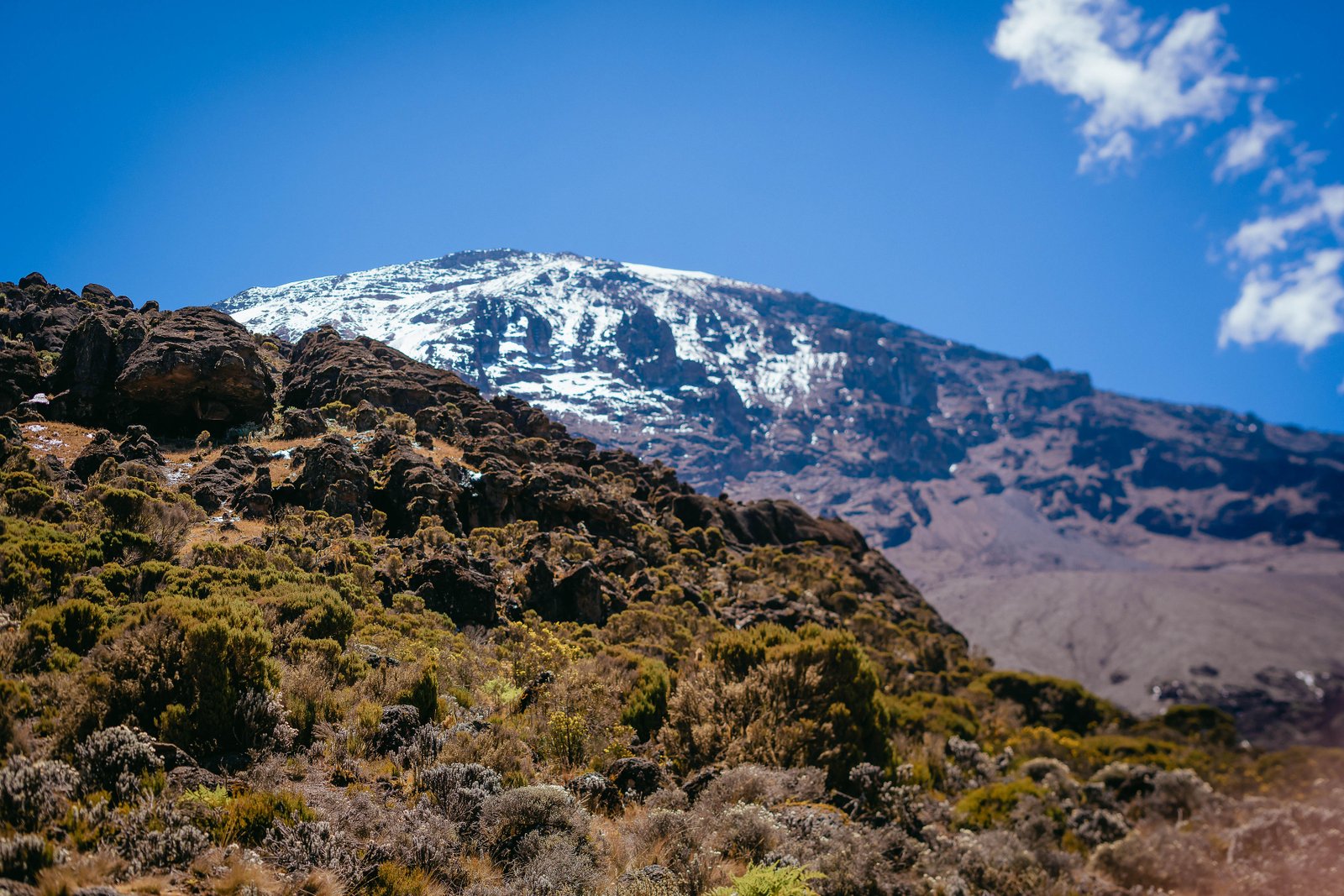 Mount Kilimanjaro 7‑Day Marangu Route Safari Adventure