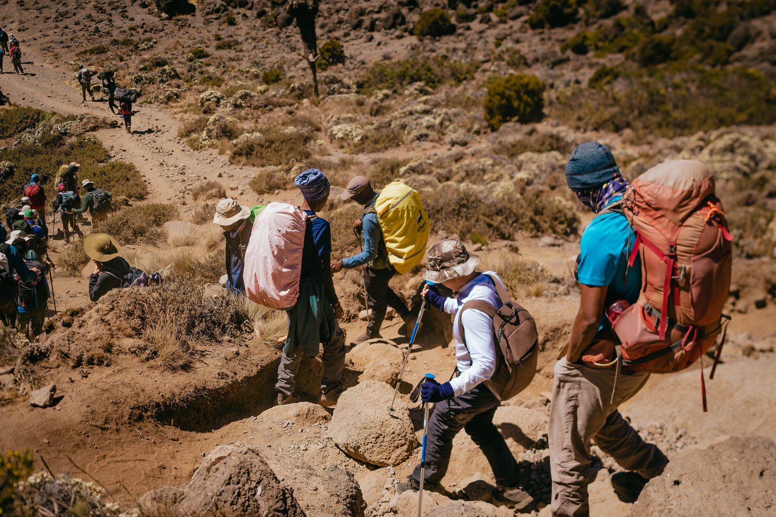 Mount Kilimanjaro Trek &ndash; 7‑Day Lemosho Route Adventure