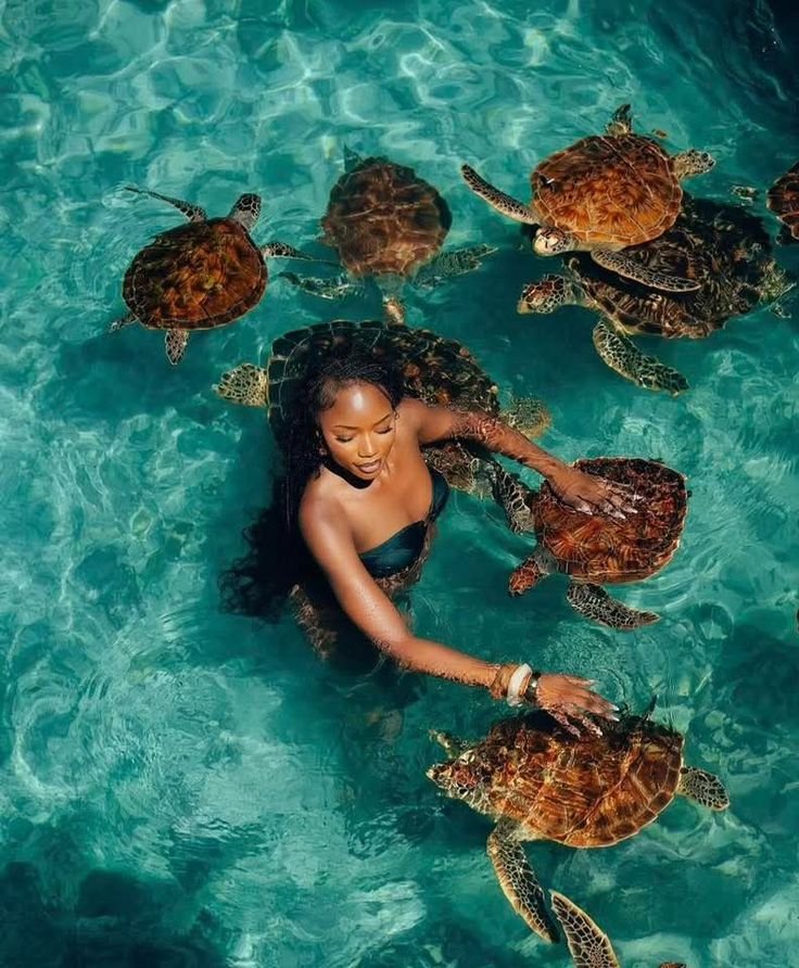 7‑Day Zanzibar Safari Itinerary &ndash; Beaches & Stone Town