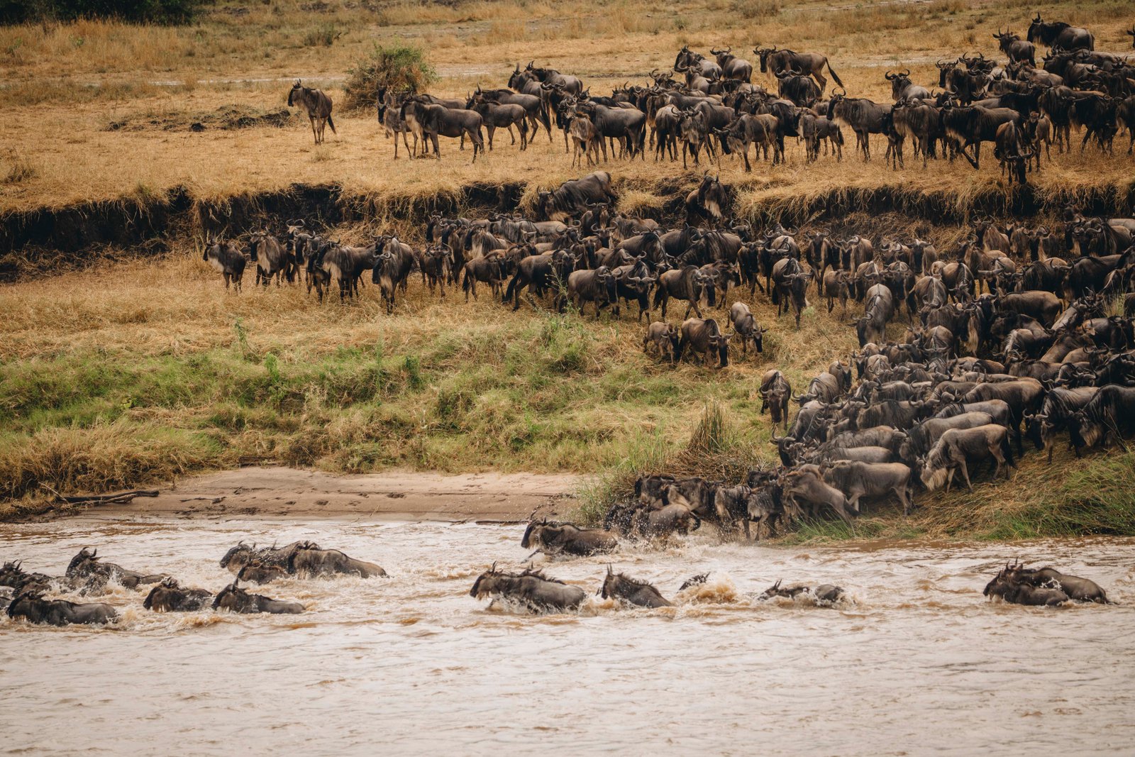Safari Great Migration & Zanzibar Escape – 14 Days
