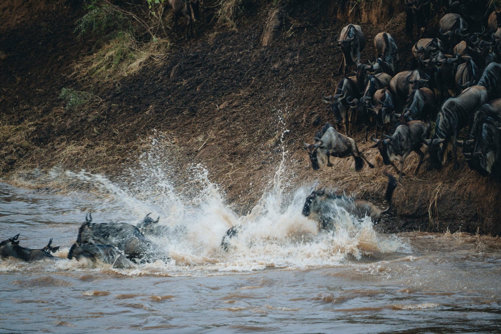 14‑Day Northern Serengeti Great Migration Safari