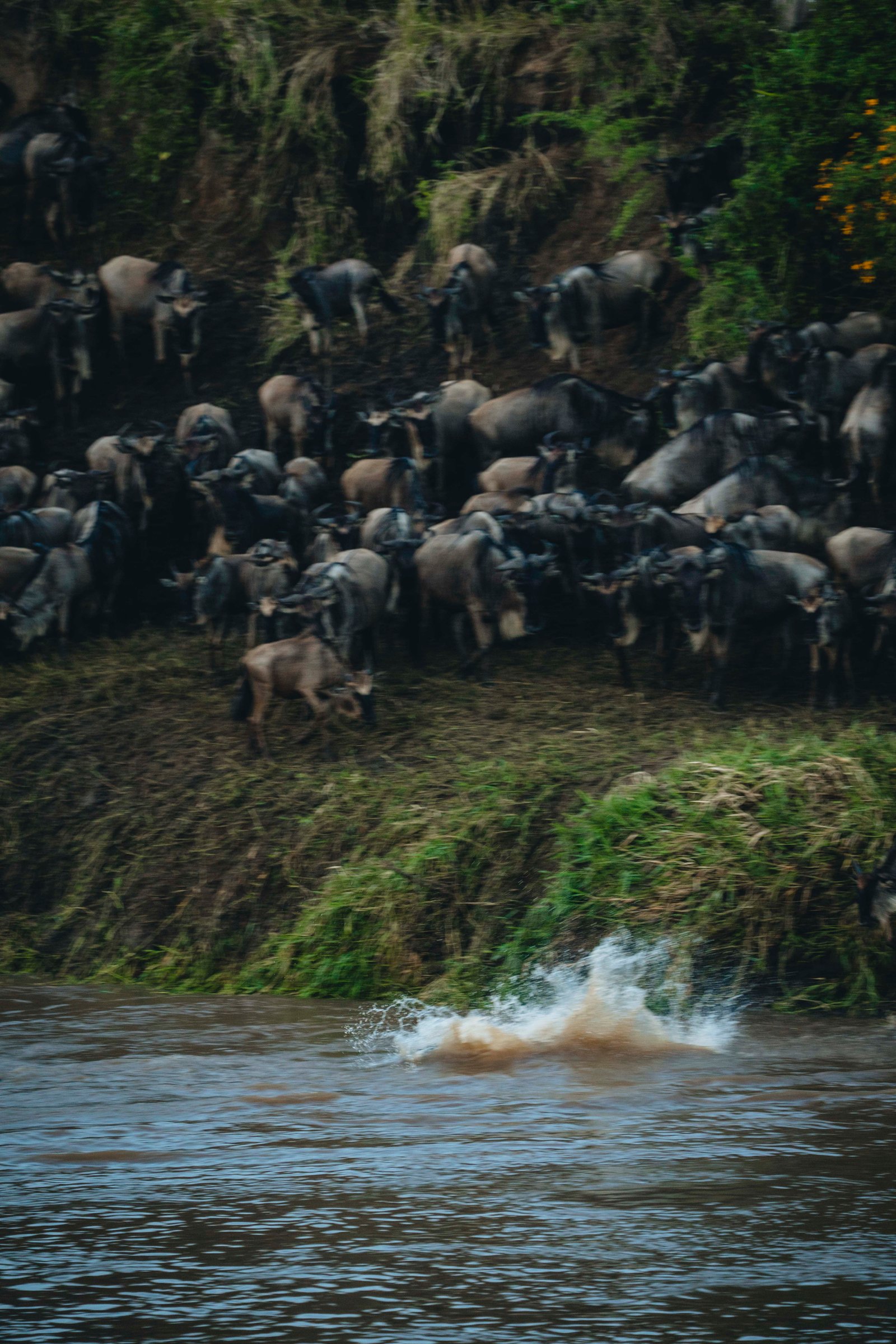 8‑Day Great Migration Safari – Serengeti & Ngorongoro