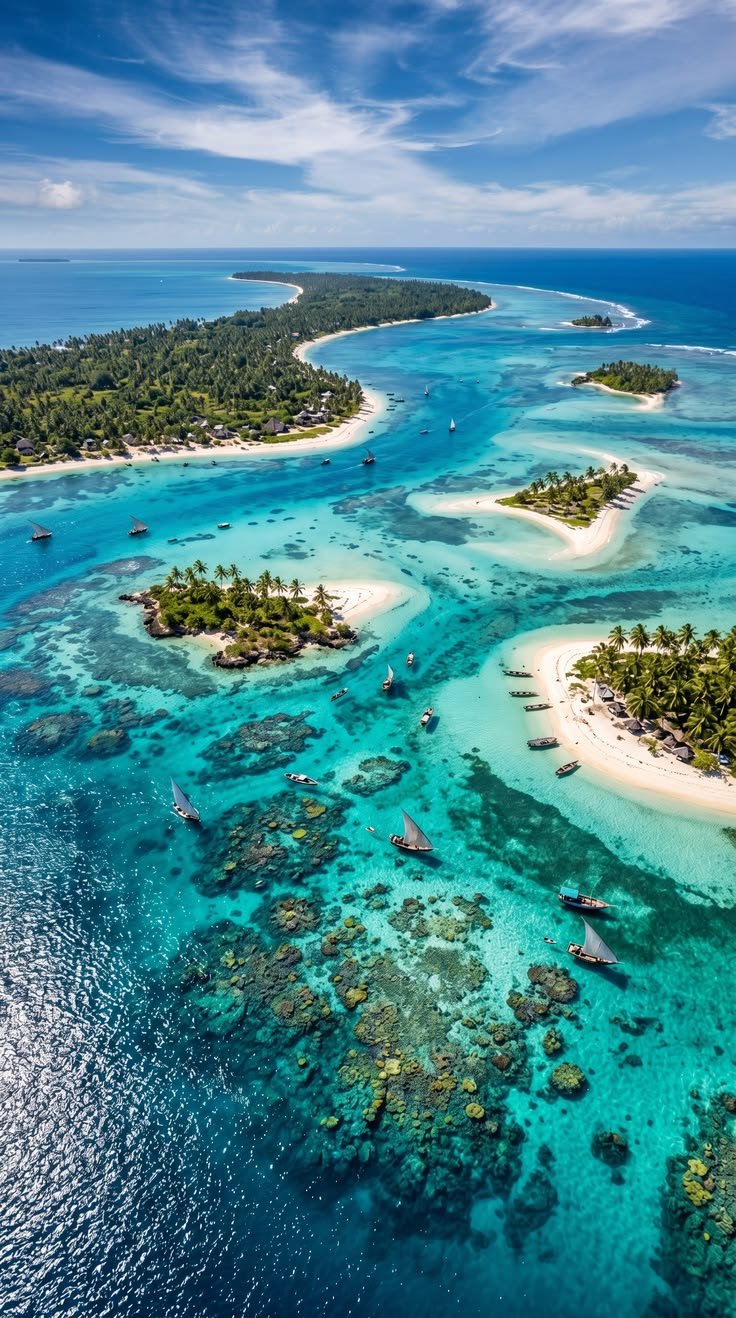 Mafia Island Safari – 5‑Day Eco‑Cultural Tour Experience