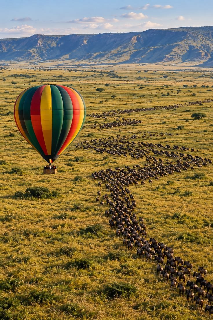 13 Day Tanzania Safari – Highlights & Hot Air Balloon