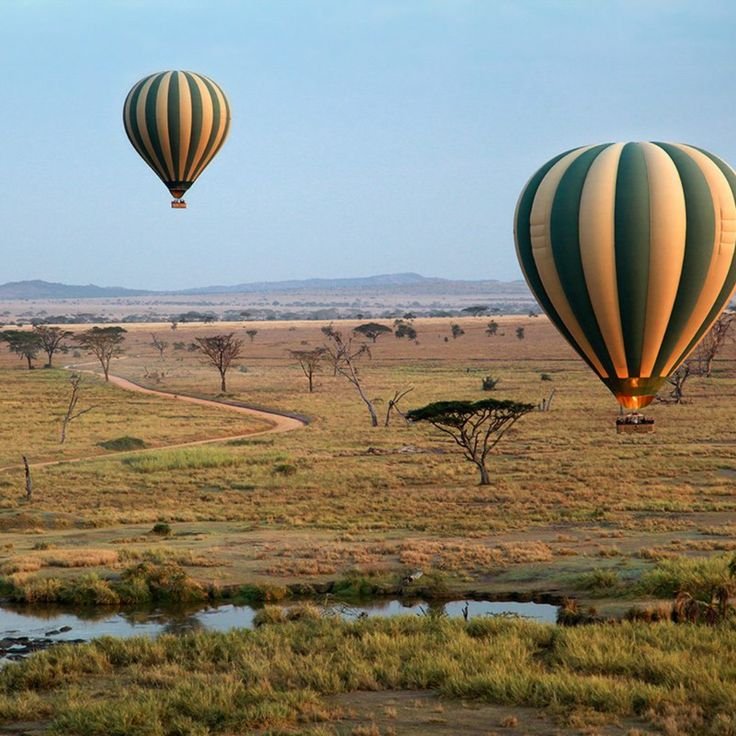 Hot Air Balloon Safari Tanzania – 10‑Day Wildlife Adventure