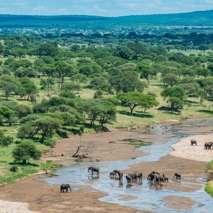 Hot Air Balloon Safari Tanzania – 6-Day Luxury Safari