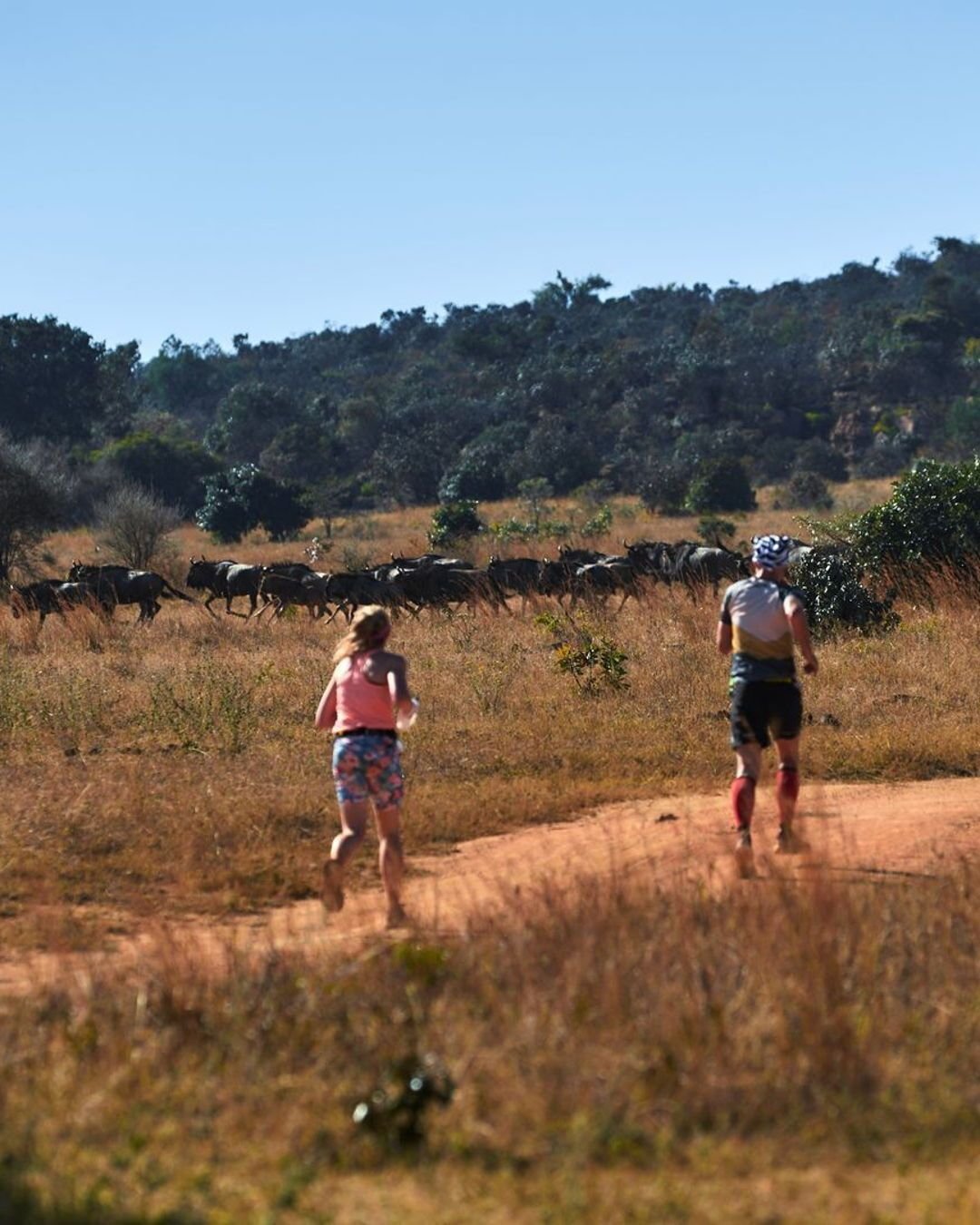 Serengeti Safari Marathon – 7-Day Tanzania Adventure