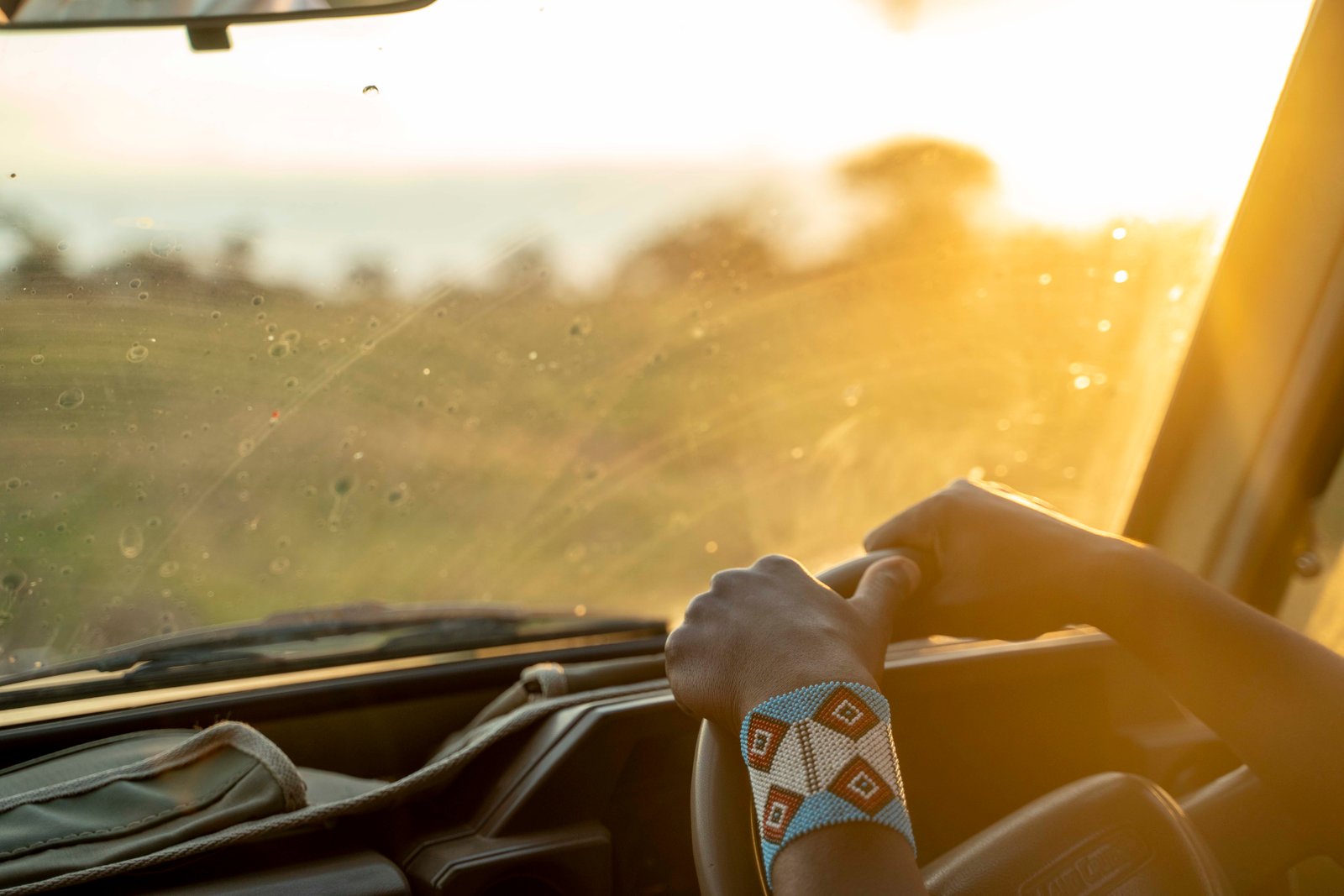 Tanzania safari landscape – Serengeti and national parks