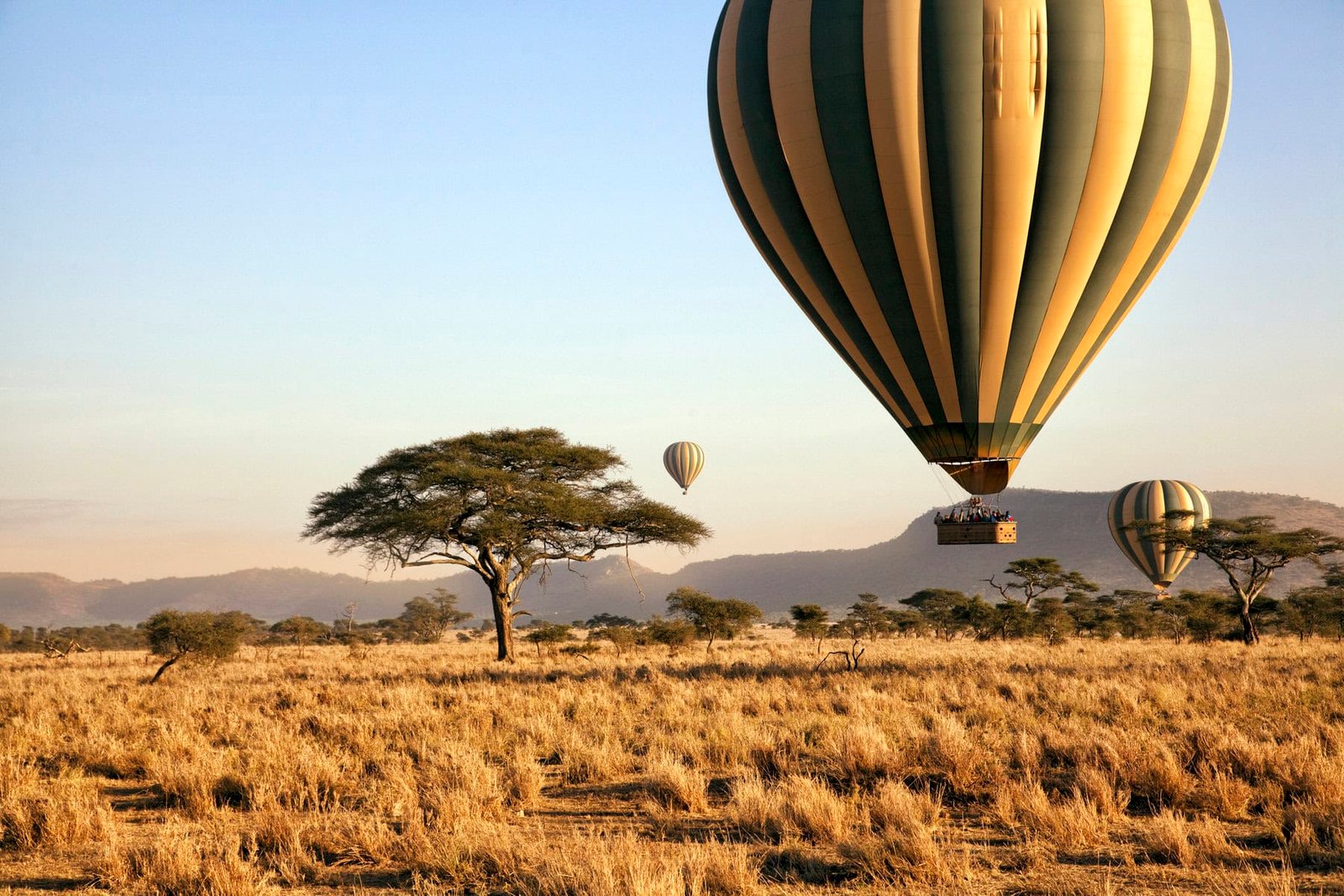 Hot air balloon safari over Serengeti Tanzania