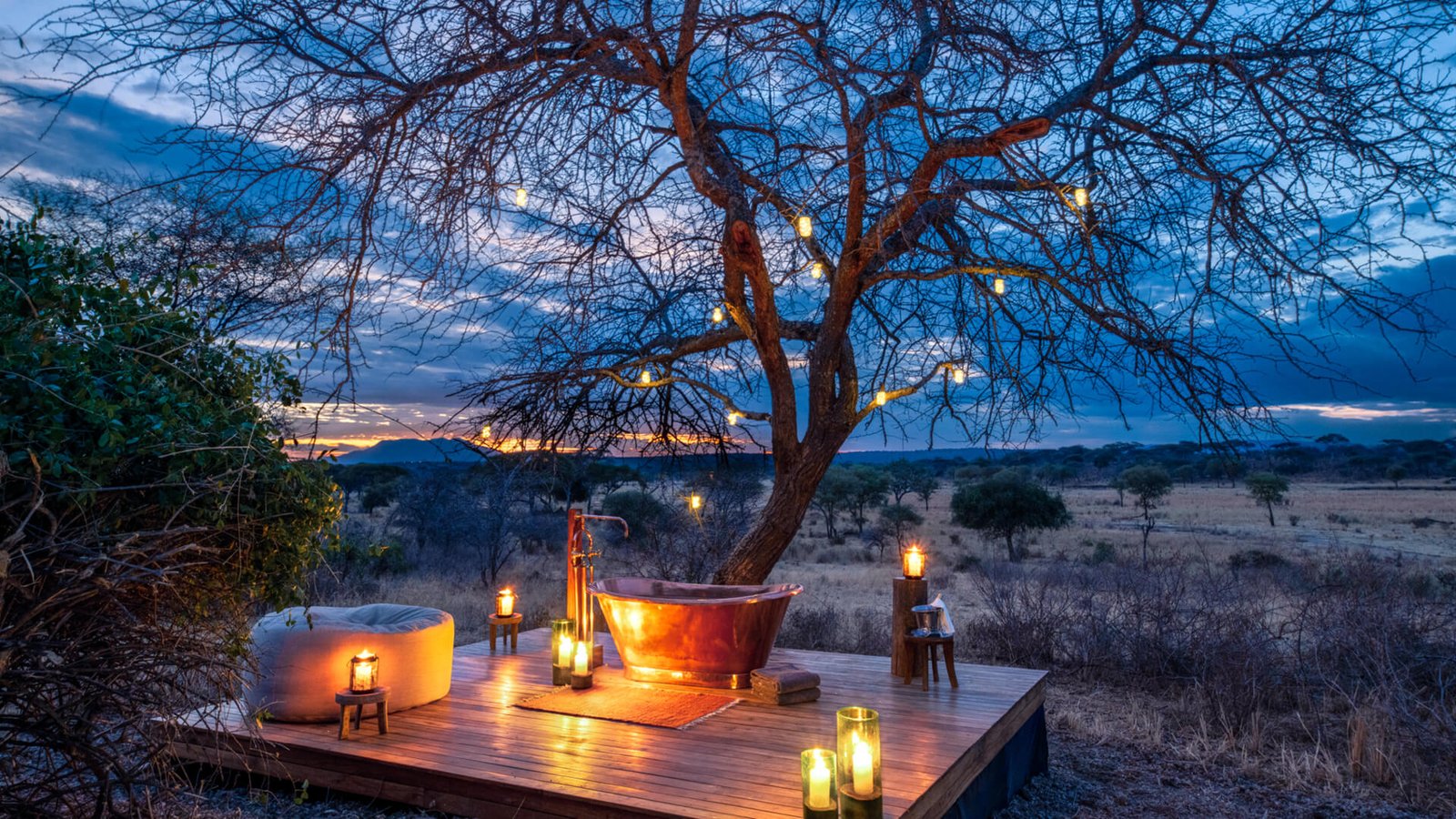 Honeymoon Experiences safari landscape