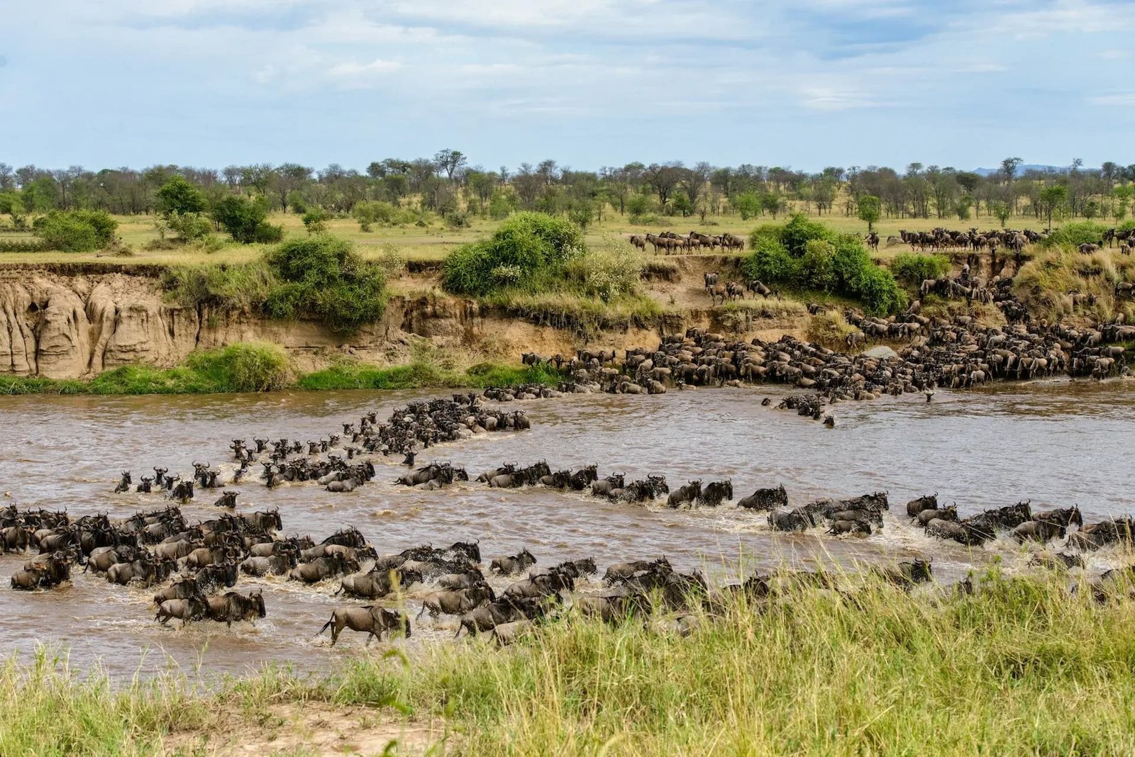 Northern Serengeti Safari – 12‑Day Luxury Adventure