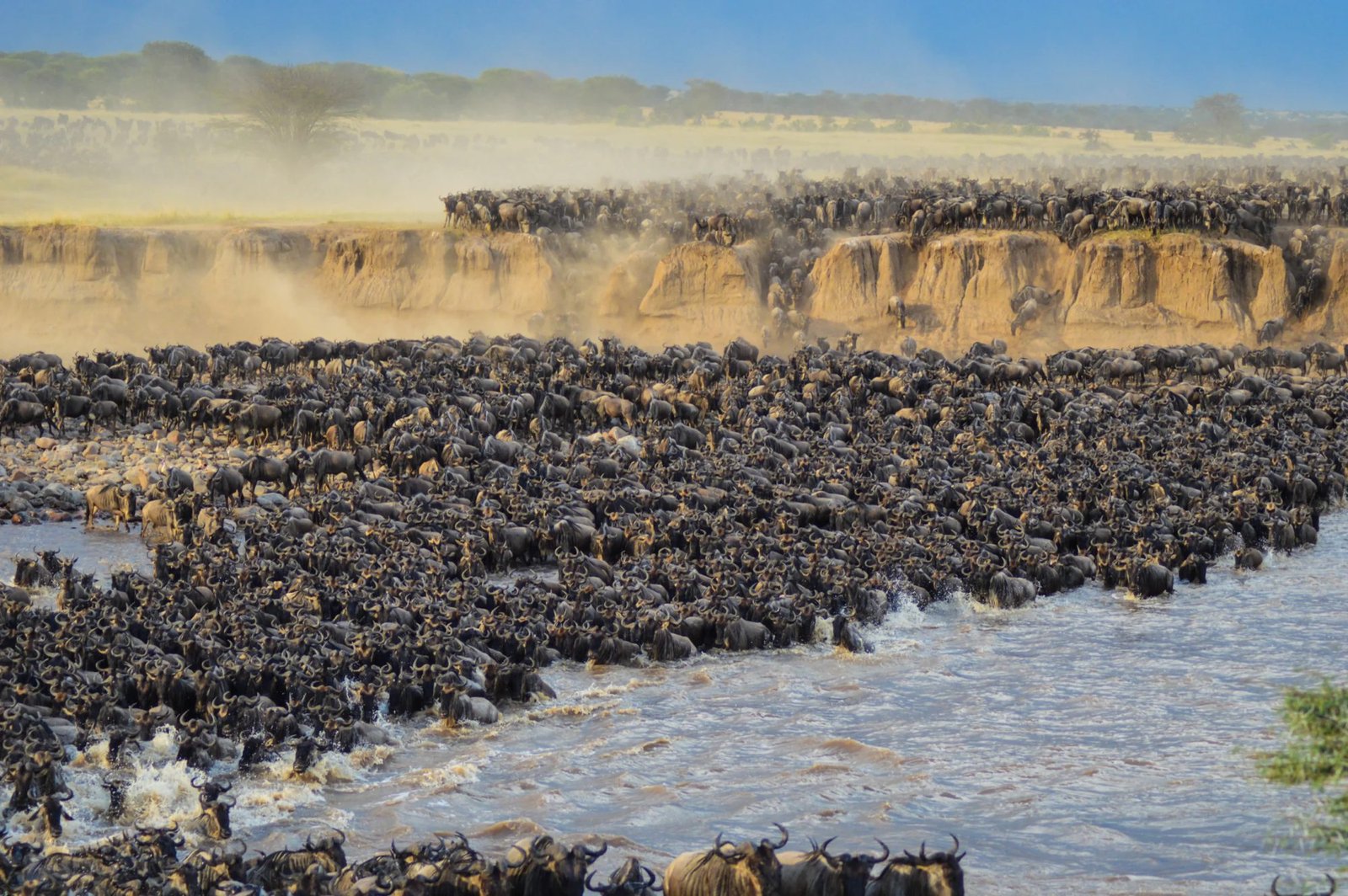 6‑Day River Crossing Safari &ndash; Serengeti & Ngorongoro