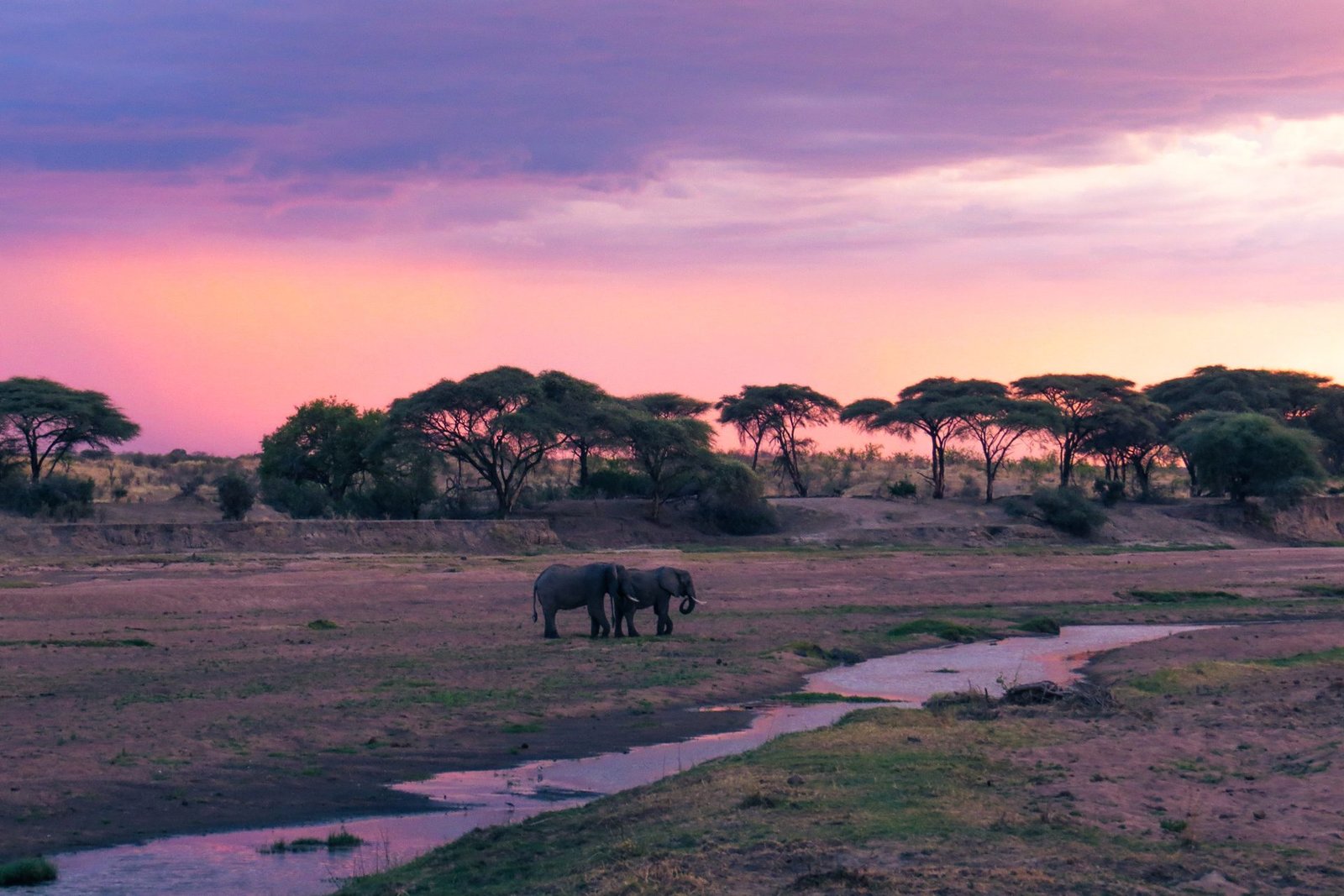 6 Day Tanzania Safari – Southern Circuit Adventure