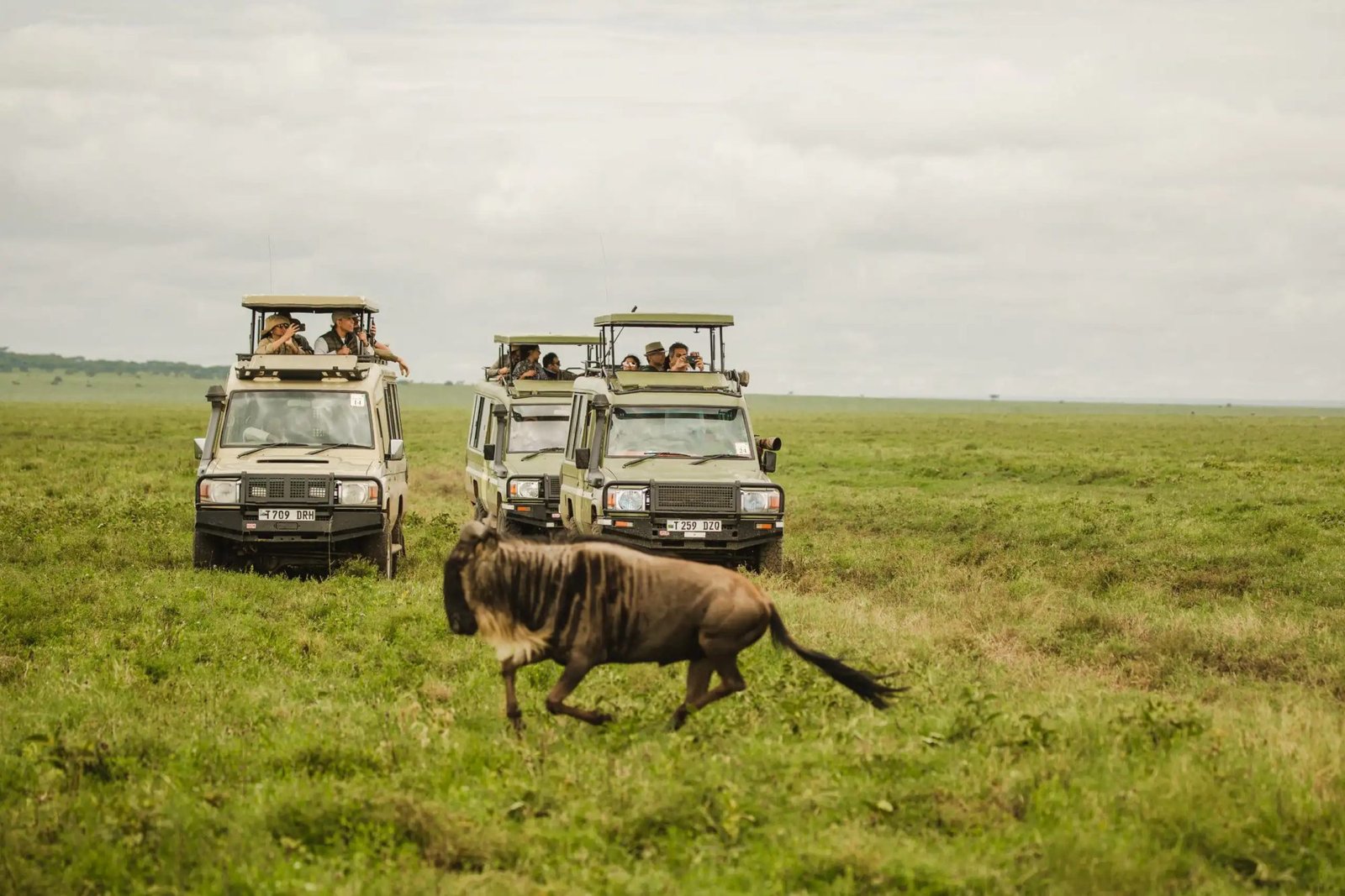 14‑Day Northern Serengeti Safari & Zanzibar Adventure