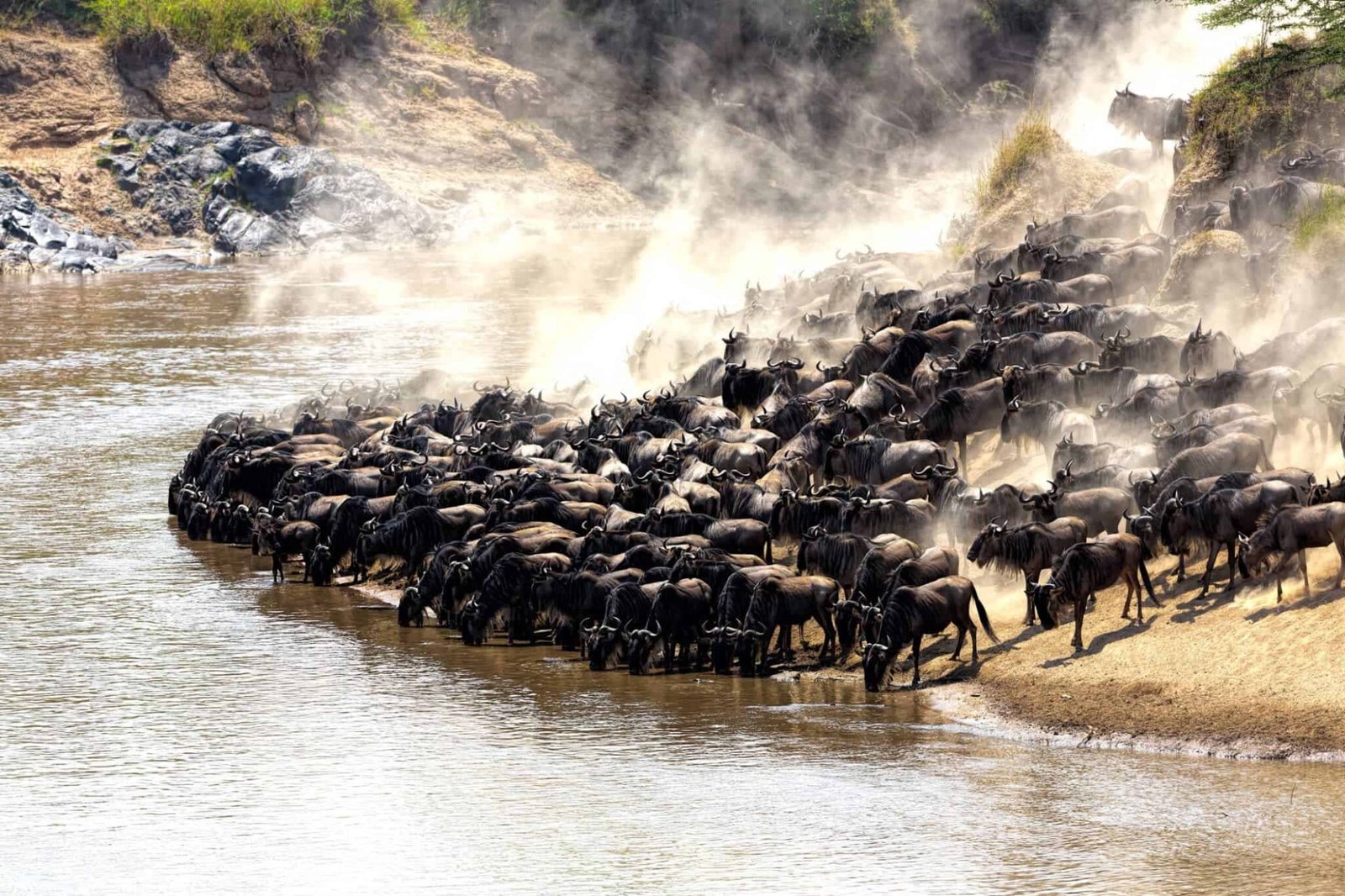 9‑Day Migration Safari &ndash; Serengeti Ngorongoro
