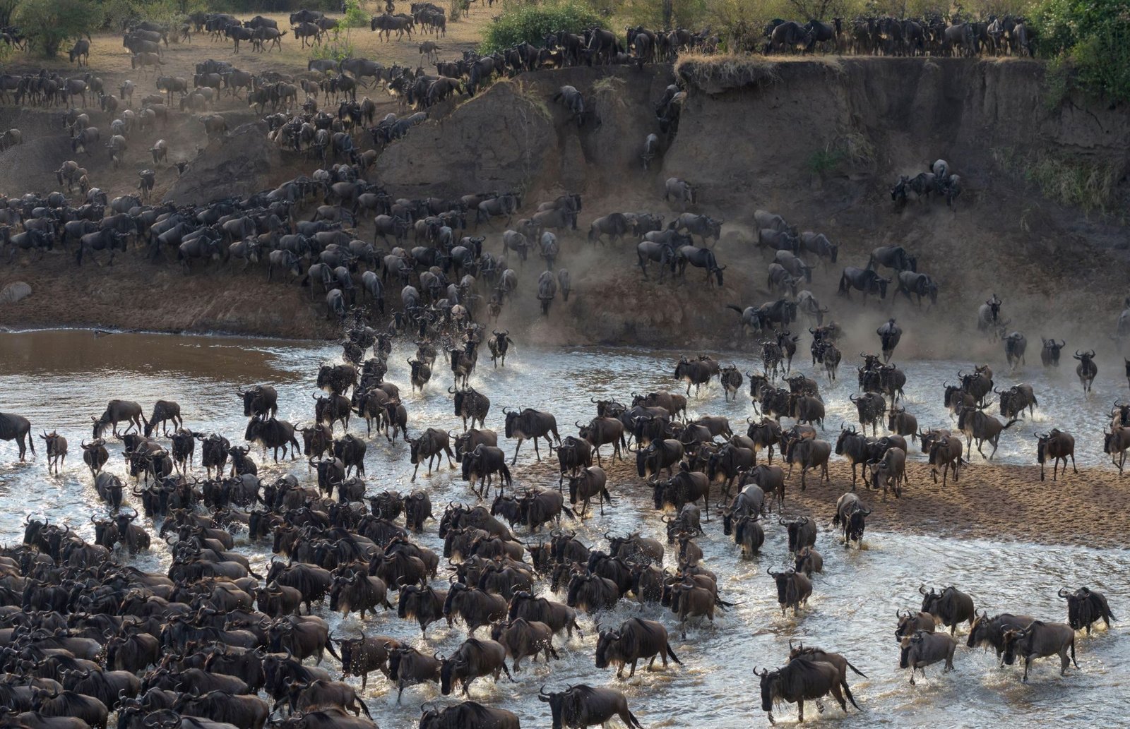 8 Day Tanzania Safari &ndash; Tarangire, Ndutu & Ngorongoro