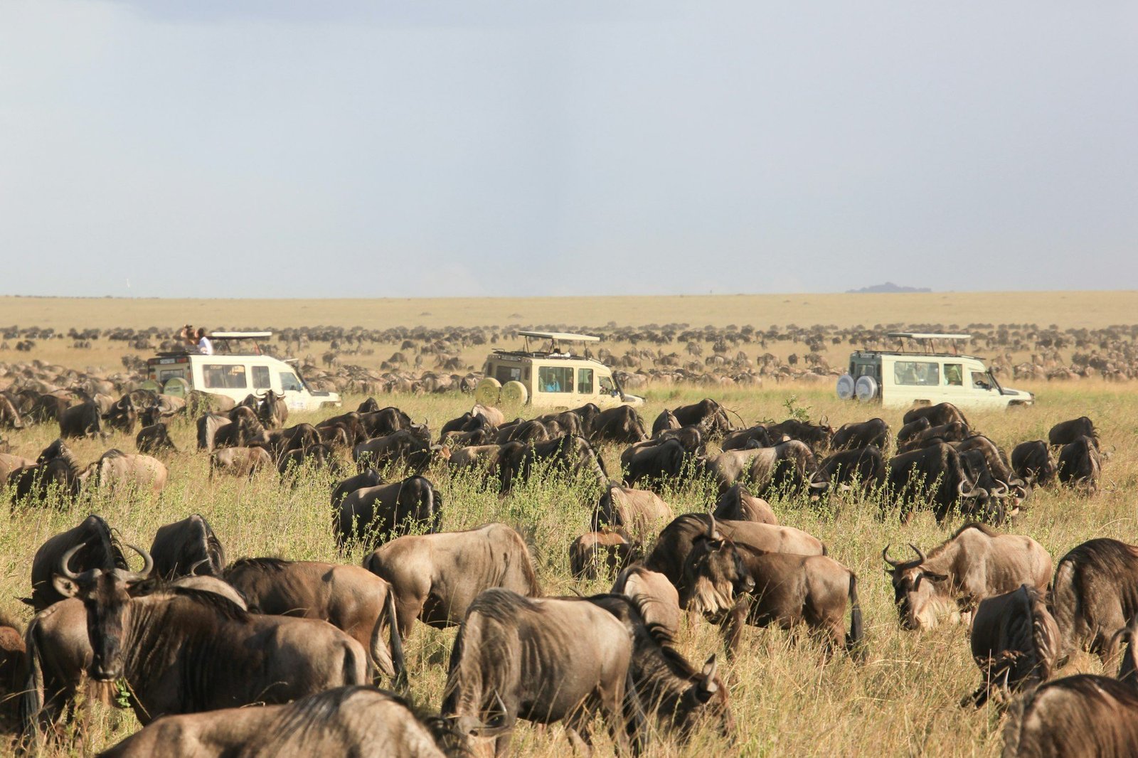 Great Migration Safari – 7-Day Northern Serengeti Adventure