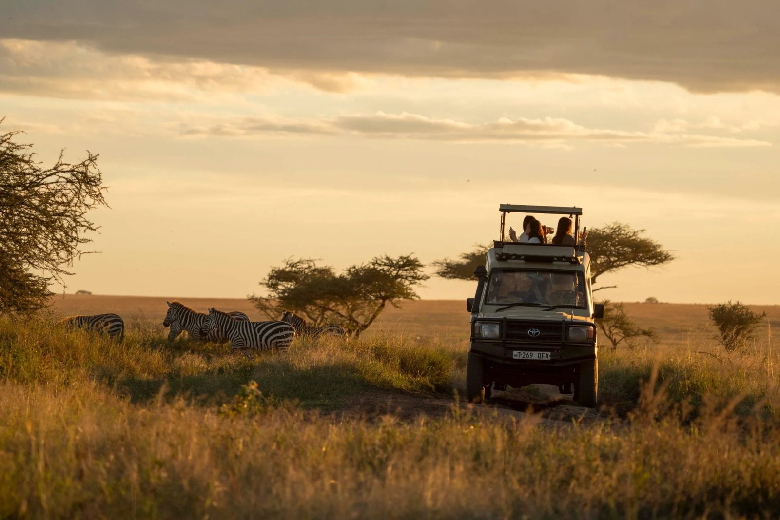 Safari Great Migration & Zanzibar Escape &ndash; 14 Days