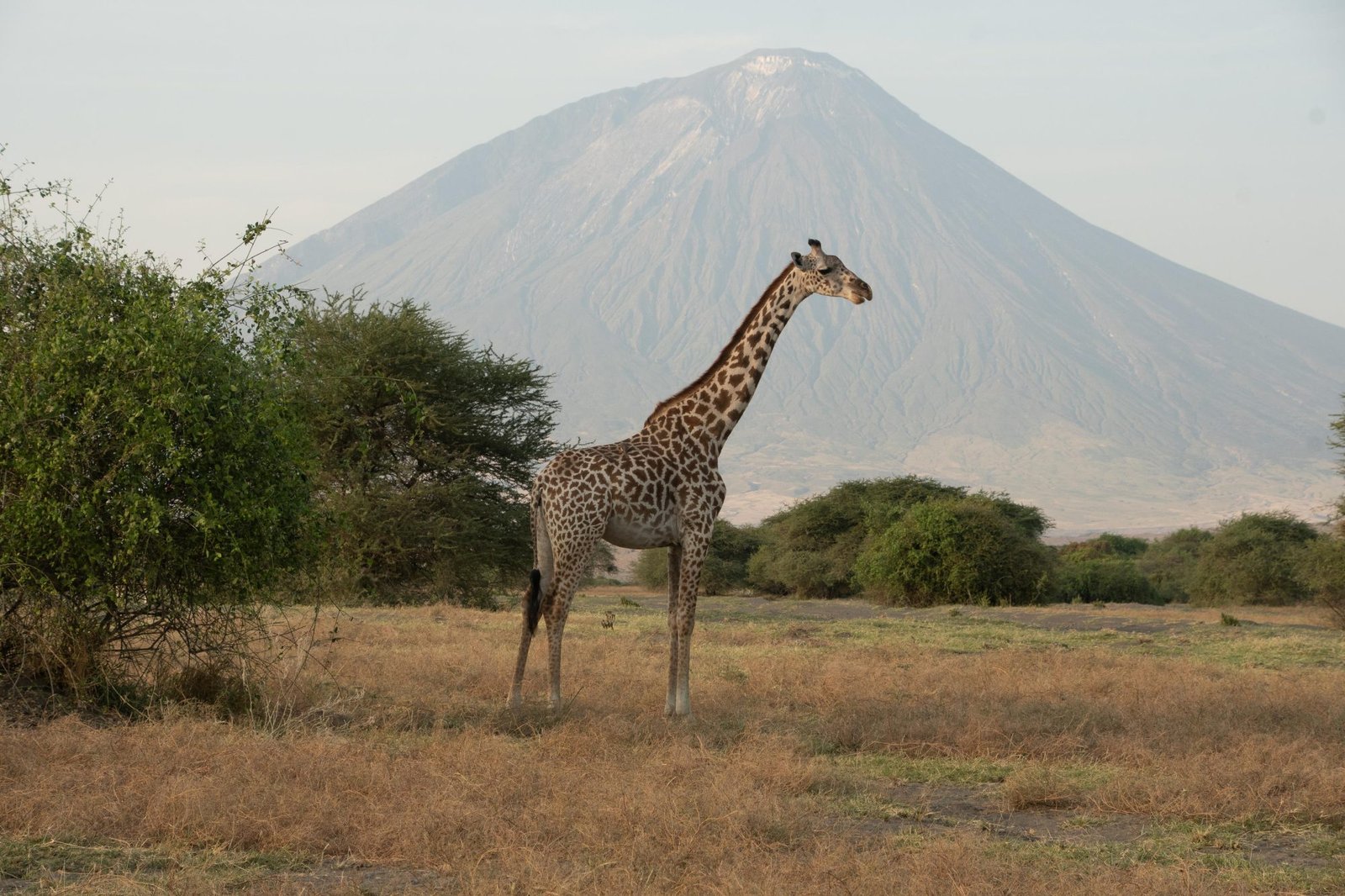 10 Day Tanzania Safari – Classic 10‑Day Adventure