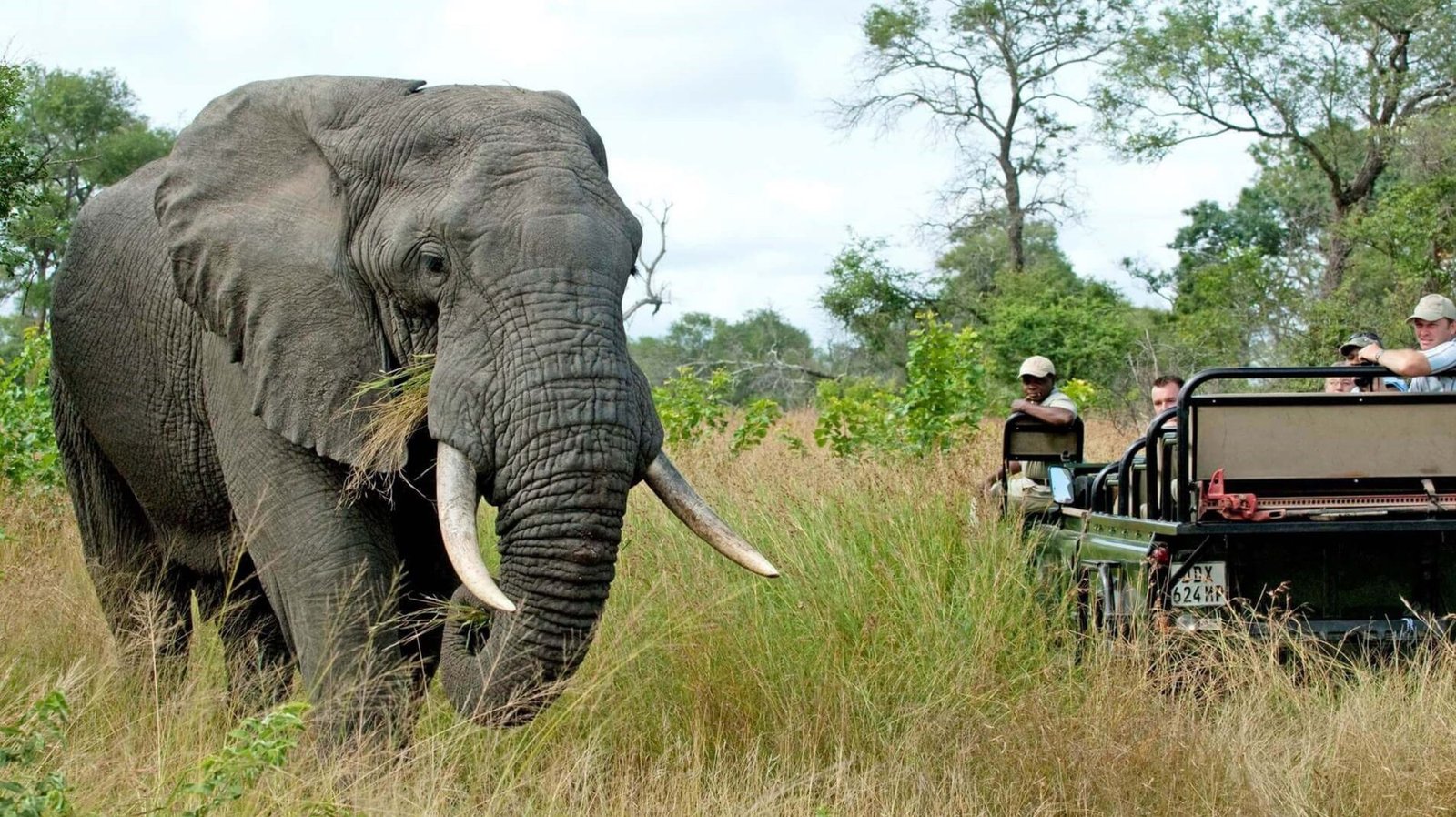 One Day Fly‑in Safari to Mikumi National Park