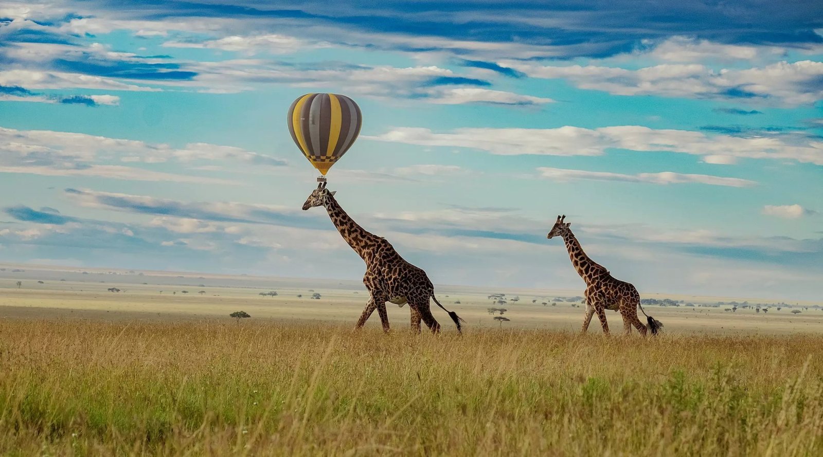 Calving Season Safari &ndash; 5‑Day Serengeti & Ngorongoro