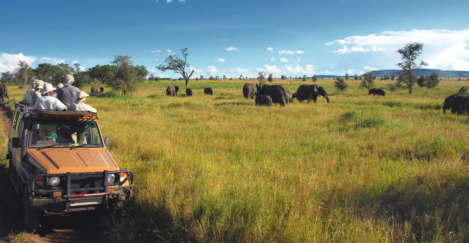 12 DAYS OF KENYA, TANZANIA & ZANZIBAR &ndash; THE ULTIMATE EAST AFRICAN SAFARI & BEACH ESCAPE