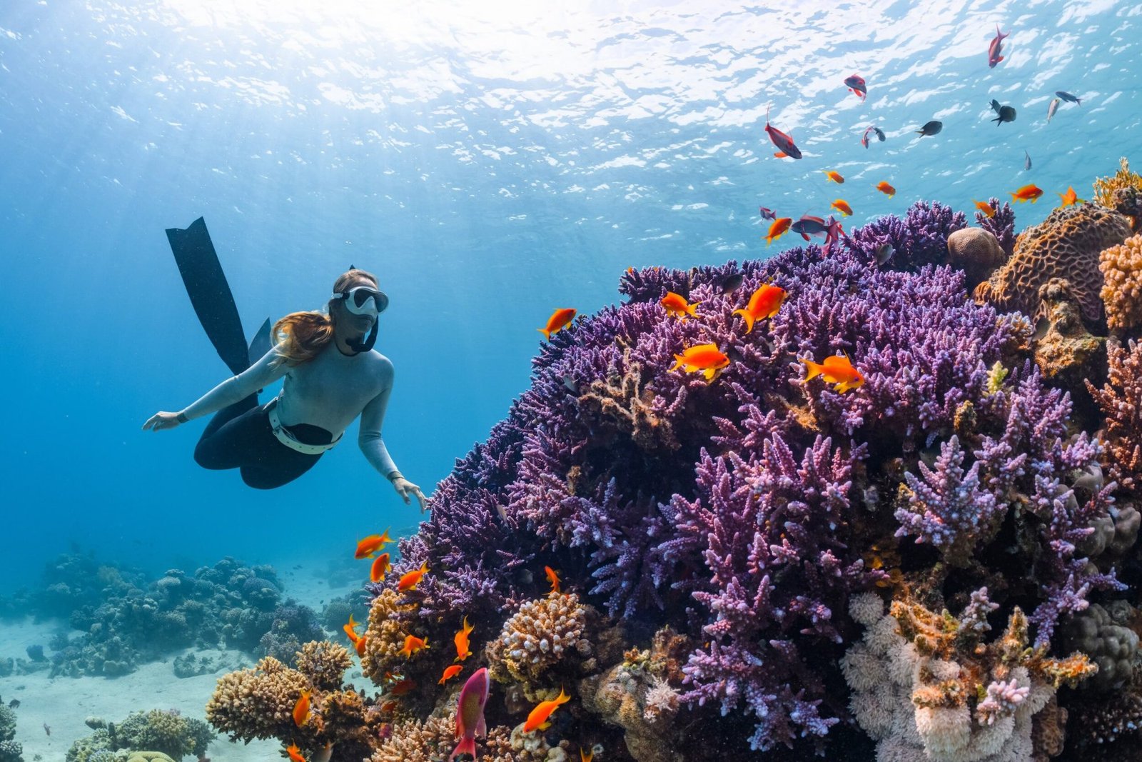 Mafia Island Diving Safari – 6-Day Marine Adventure