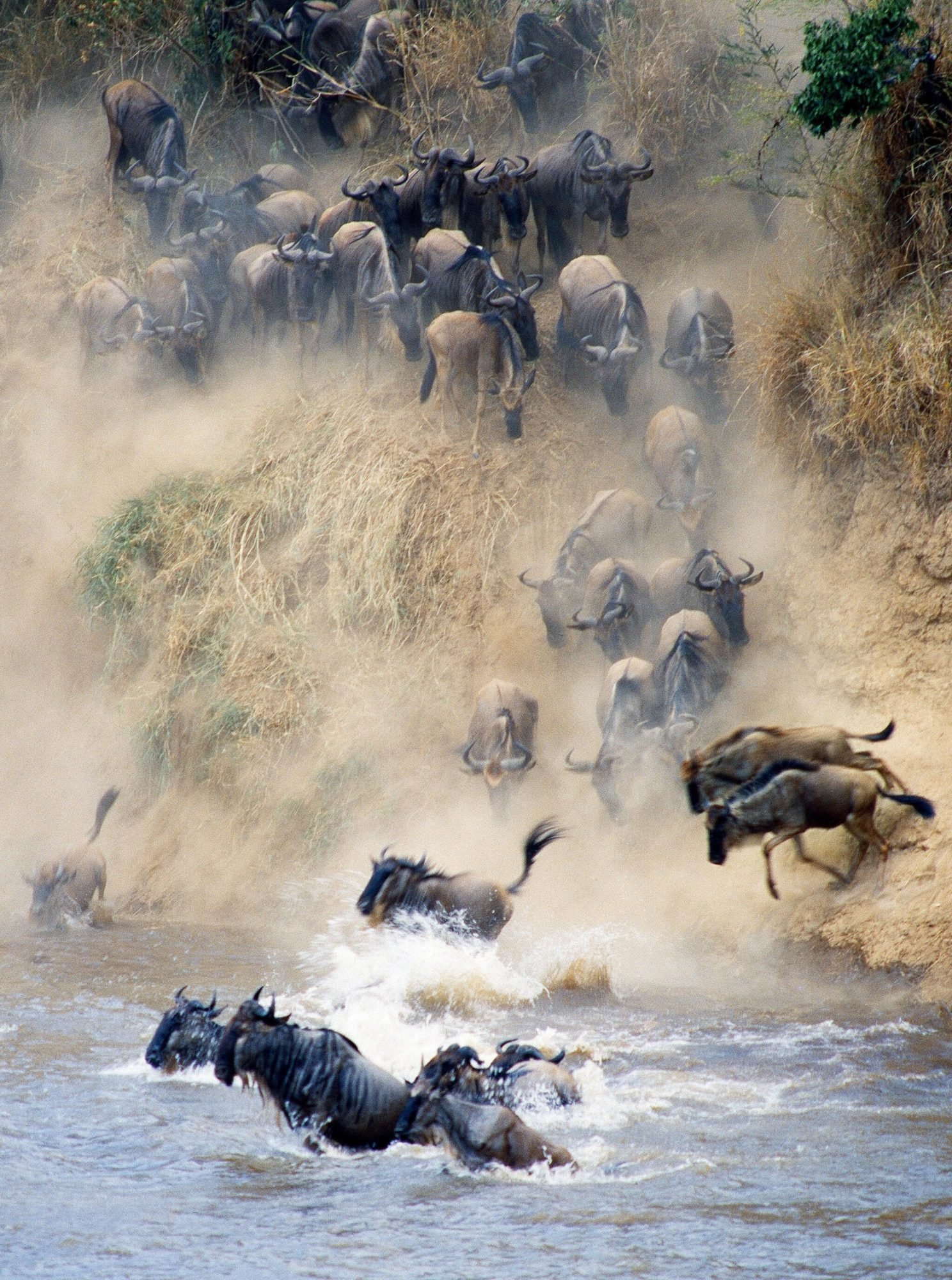 Best Time to Visit Tanzania: A Month-by-Month Guide