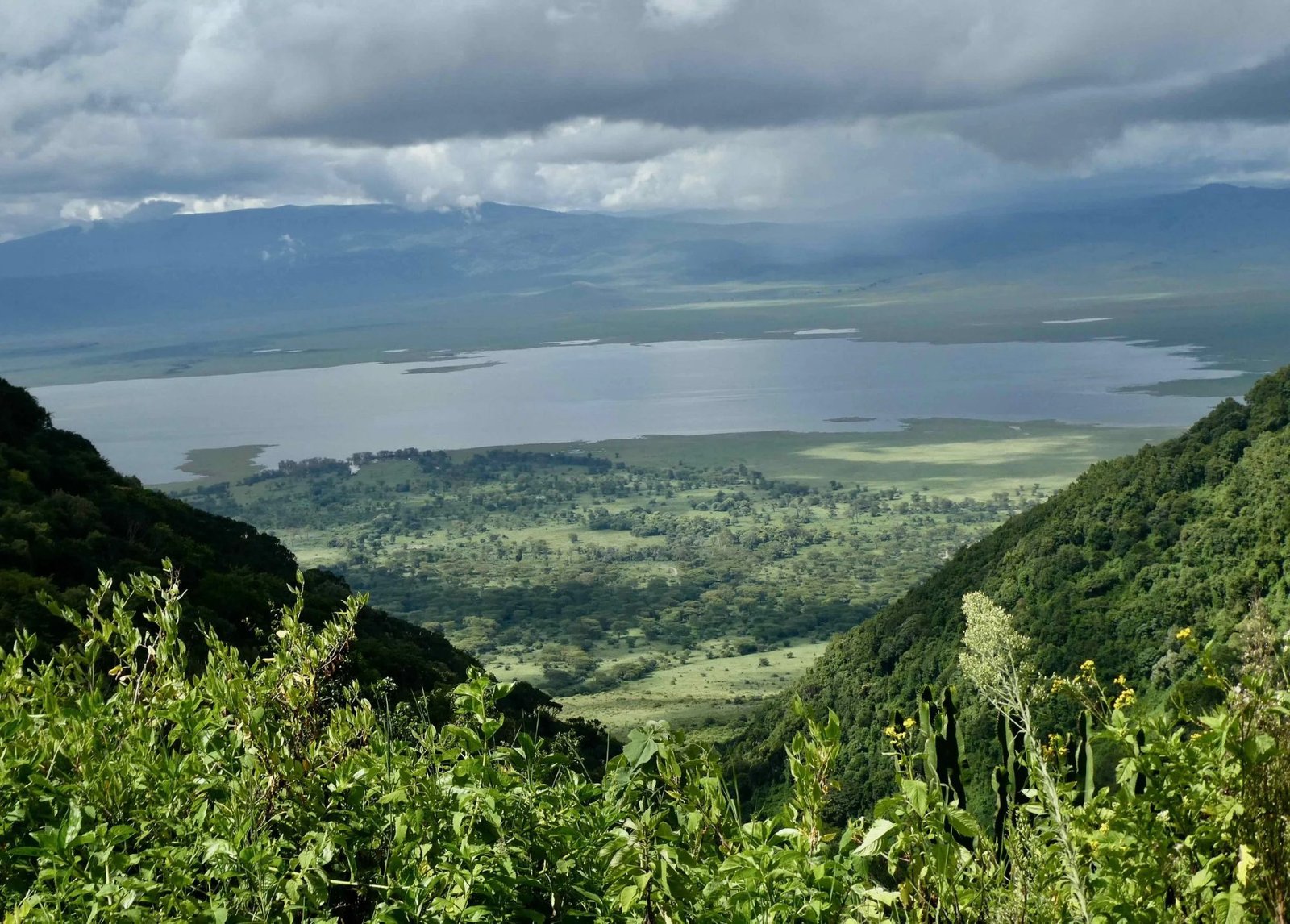 Tanzania National Parks Compared: Which One Is Right for You