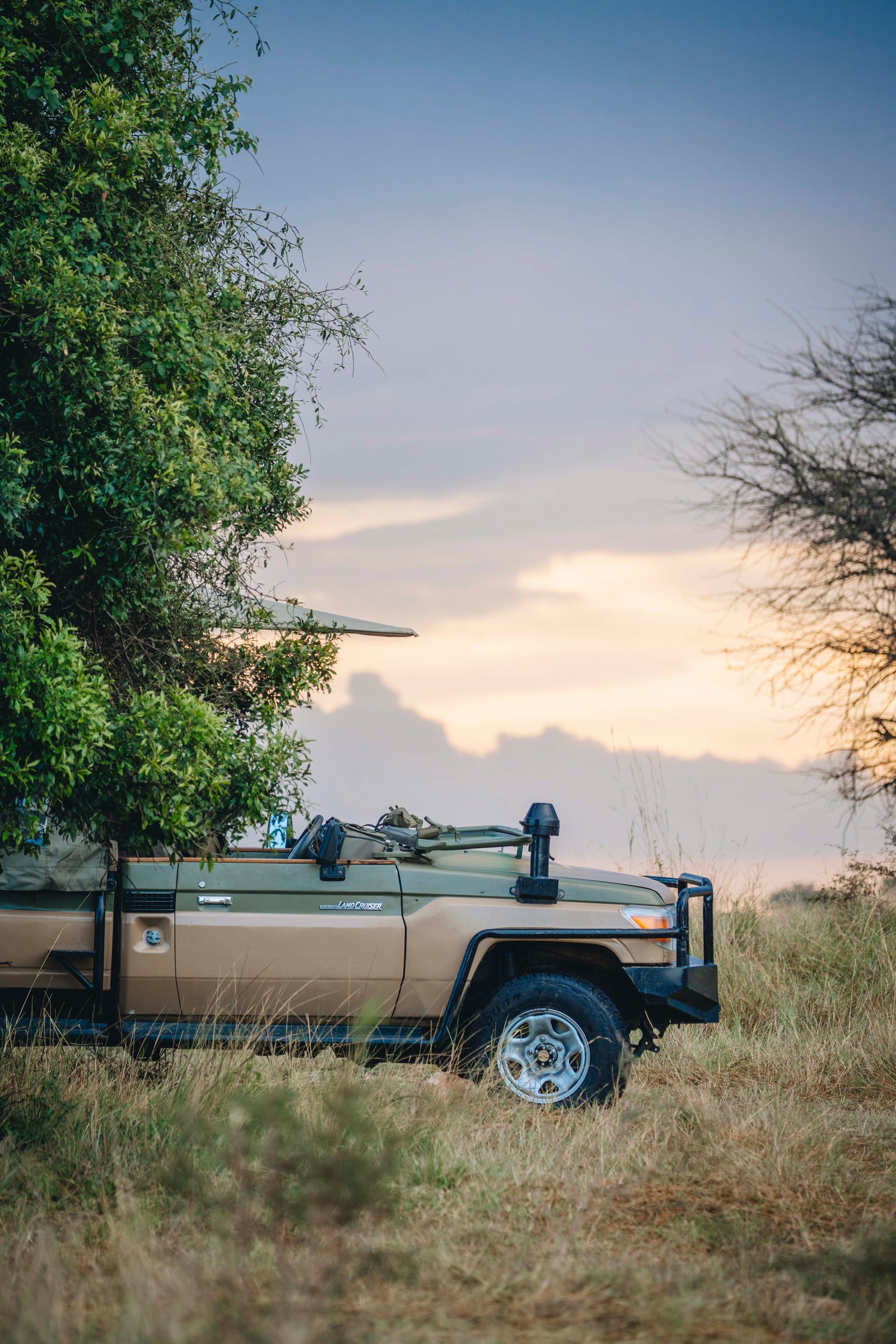 The Great Migration crossing the Serengeti plains